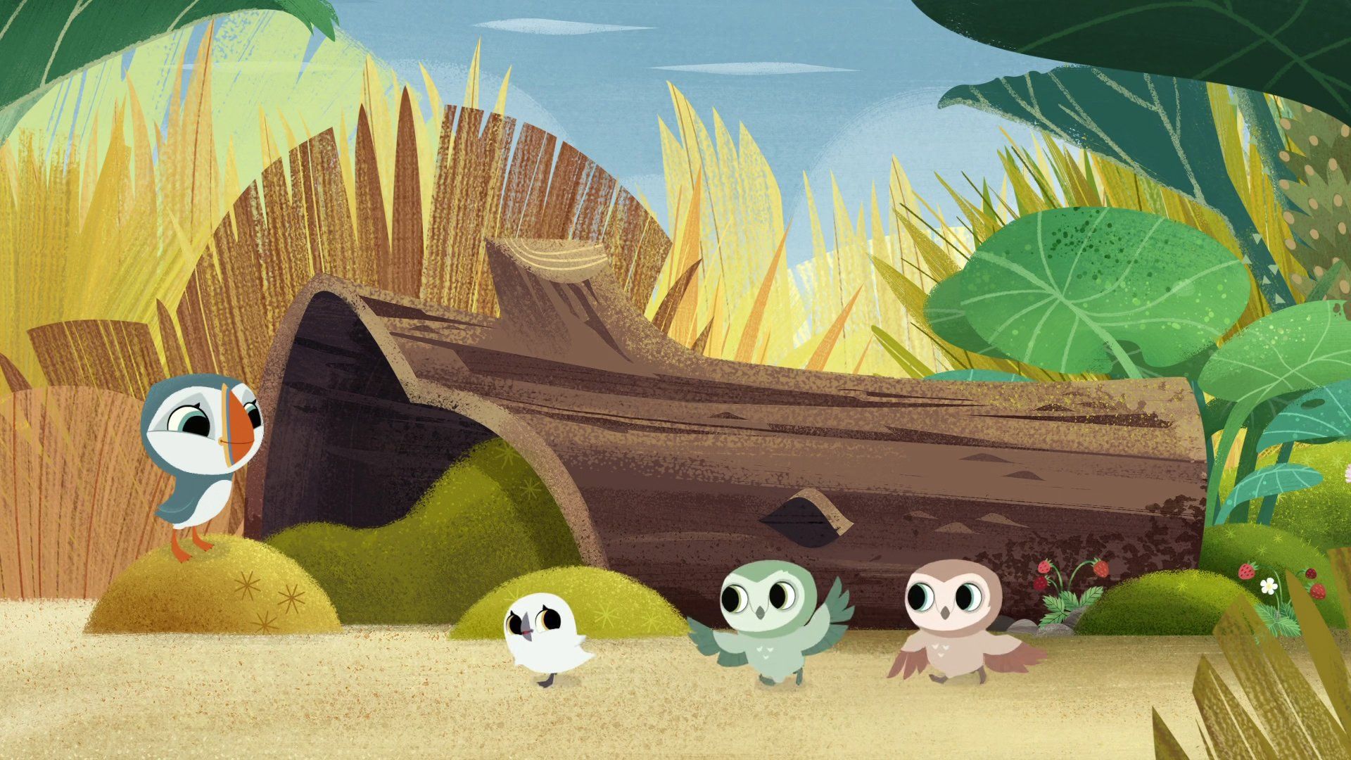 Puffin Rock background