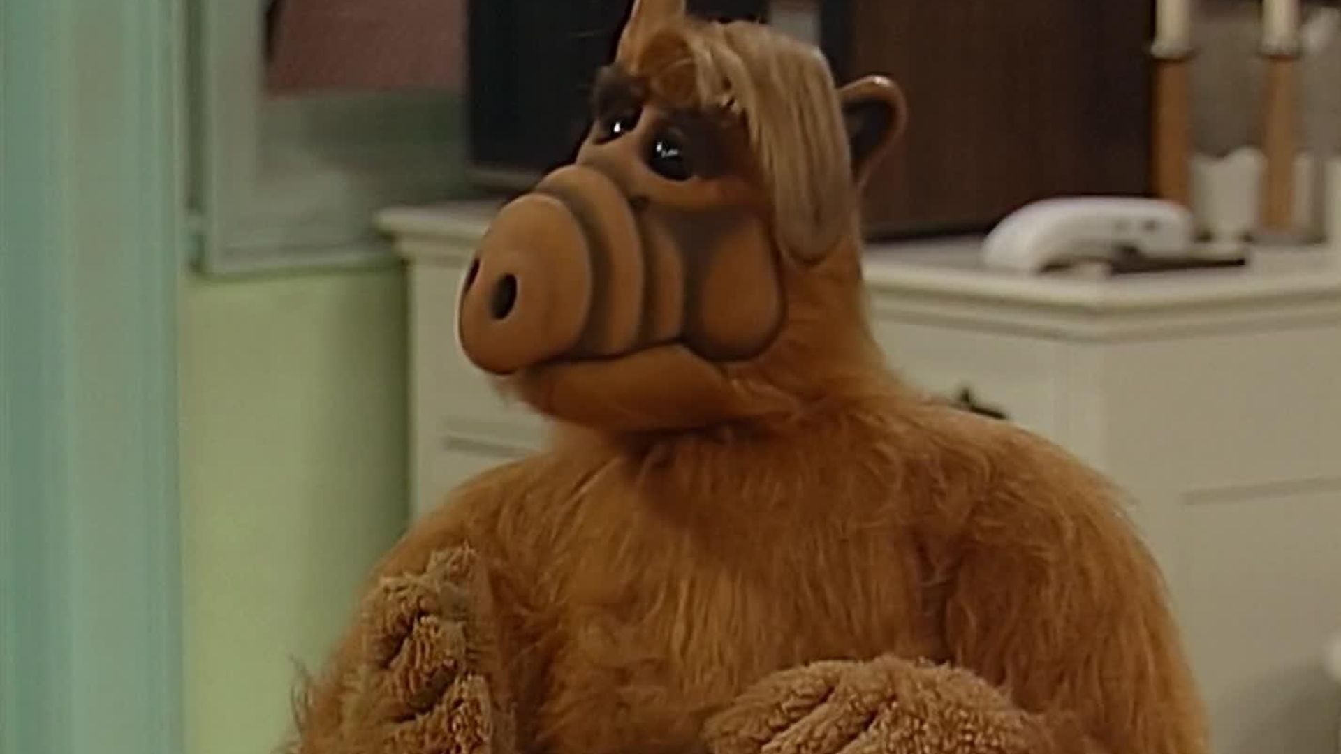 ALF background