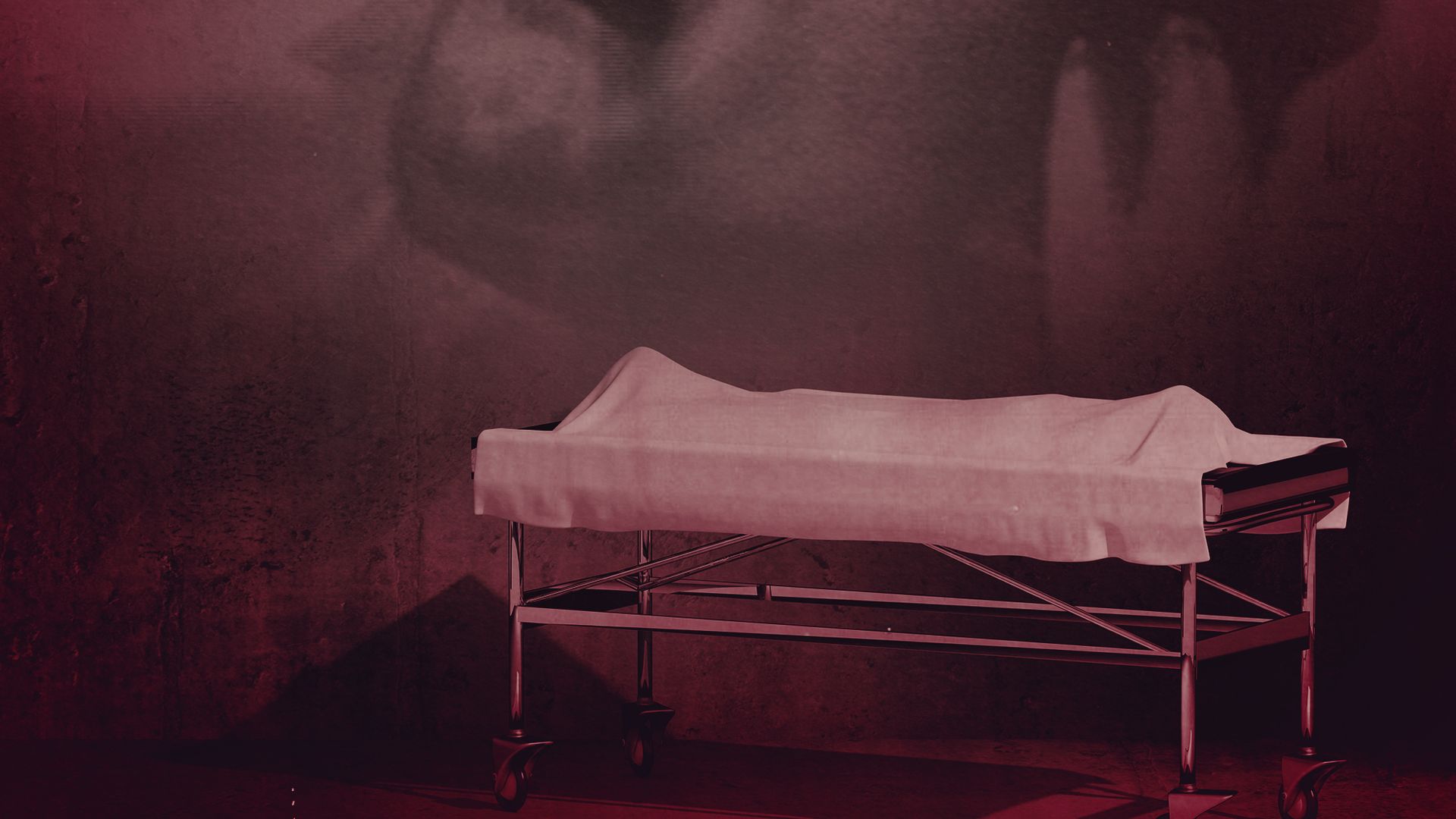 Alien Autopsy: The Search for Answers background