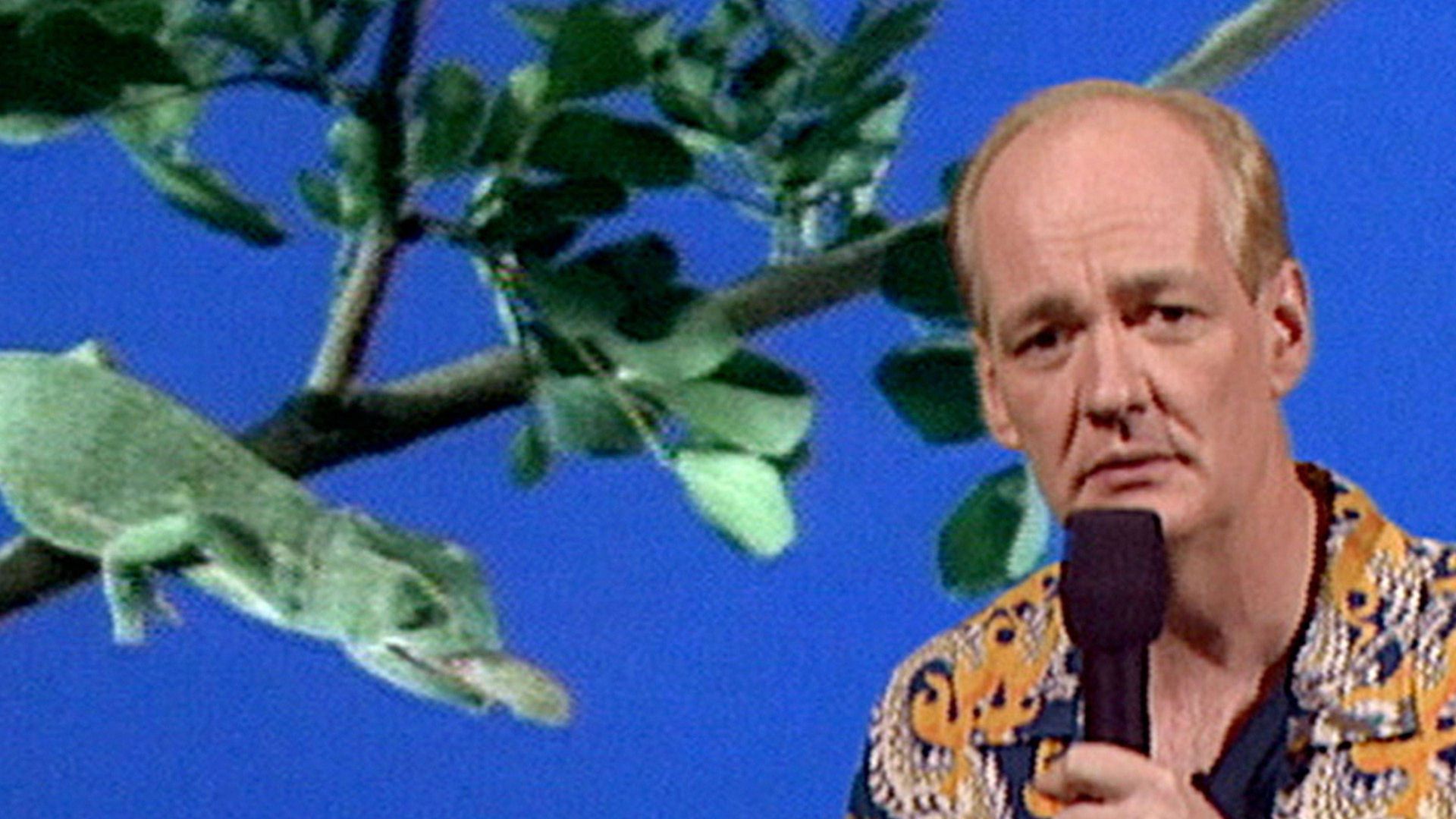 Whose Line Is It Anyway? background