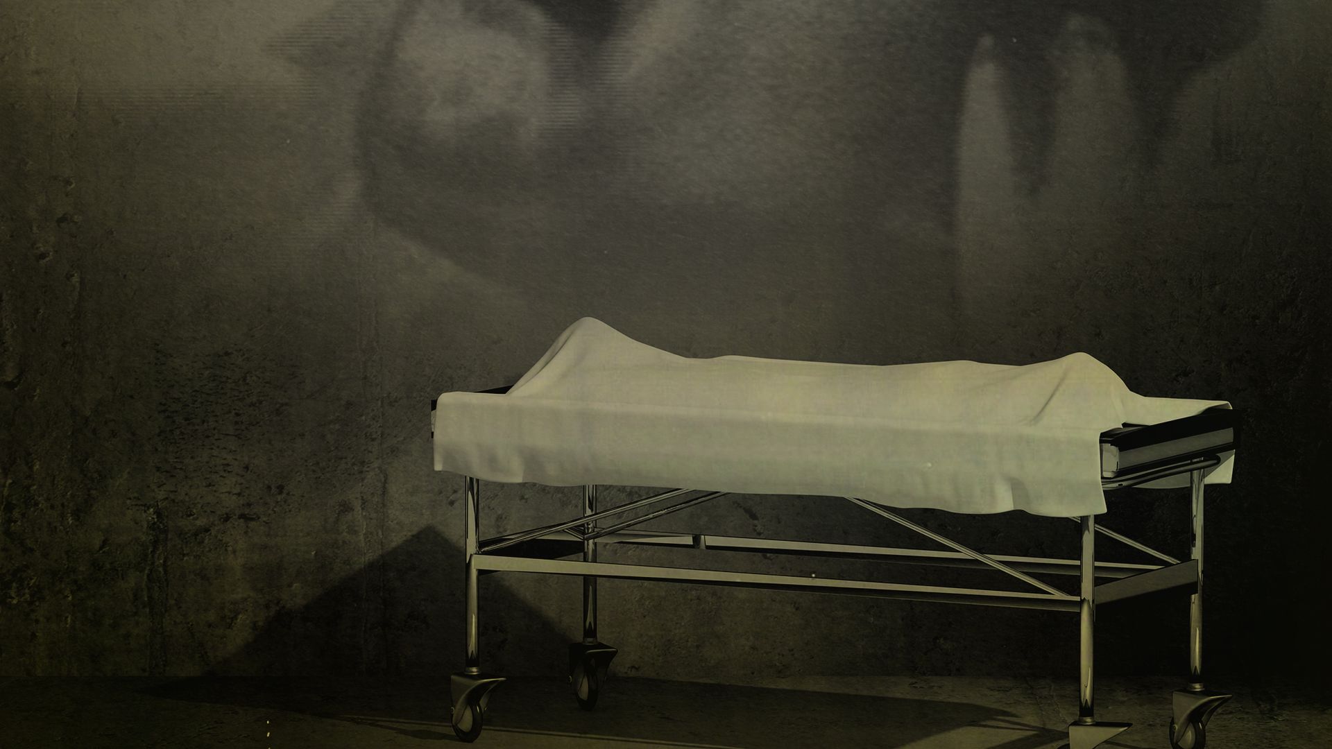 Alien Autopsy: The Search for Answers background