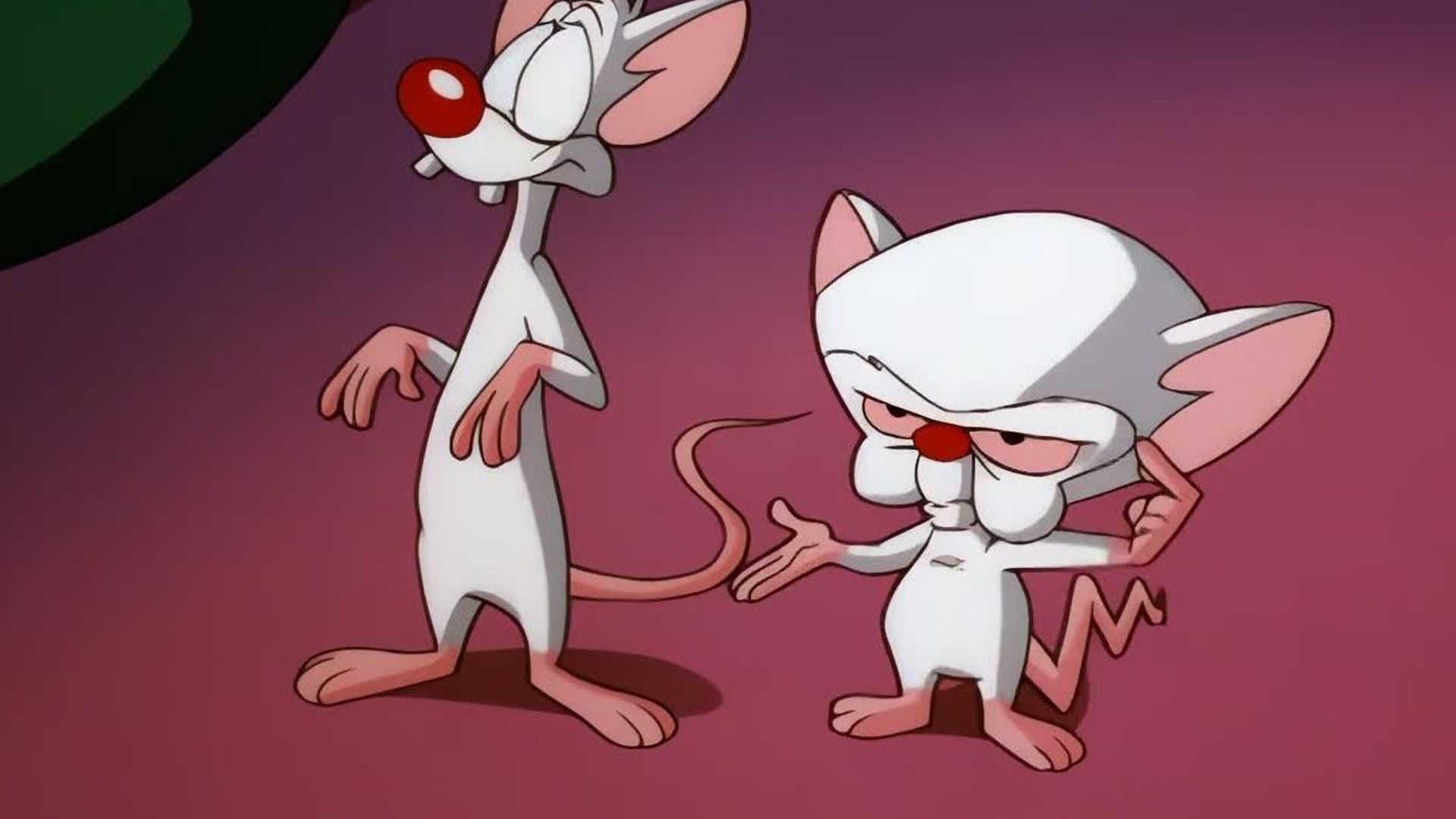Pinky and the Brain background