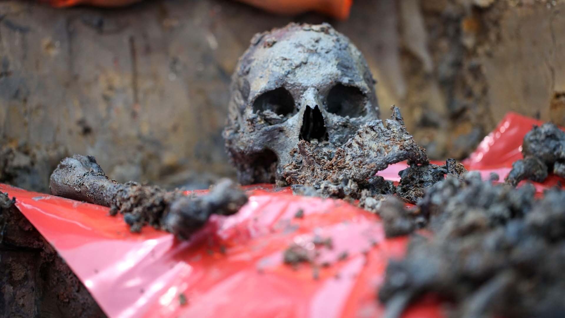 Britain's Biggest Dig background