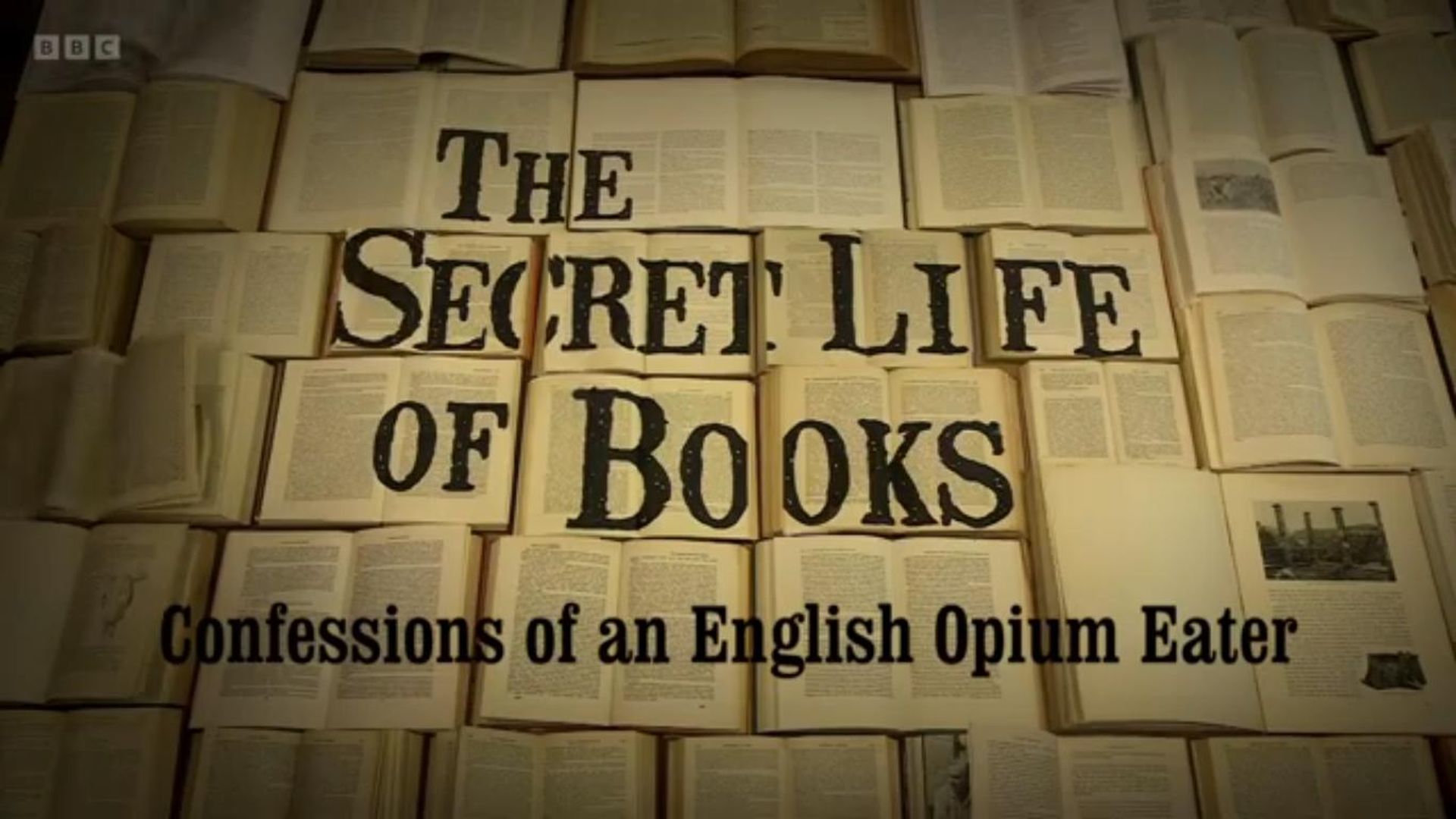 The Secret Life of Books background