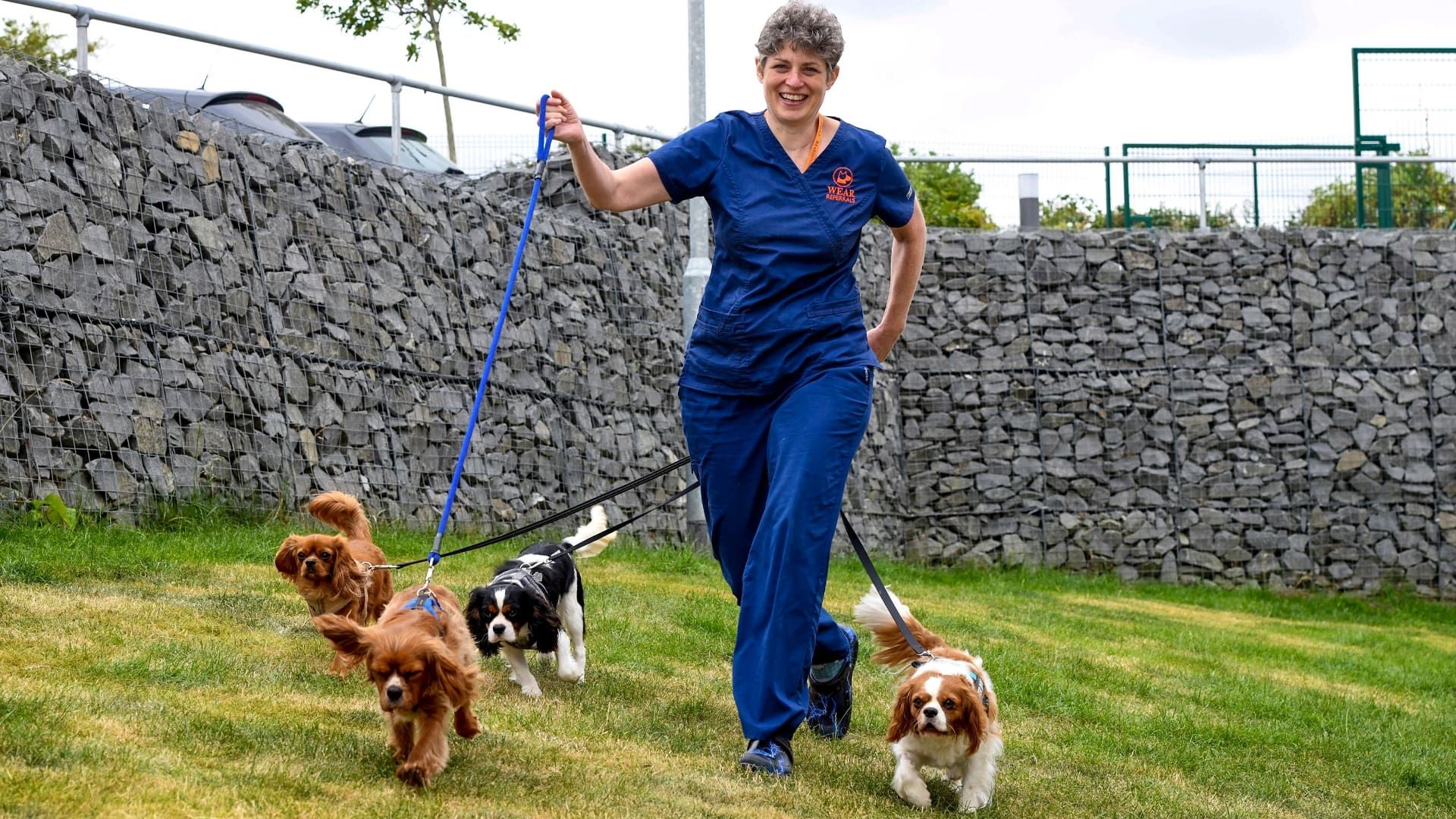 24/7 Pet Hospital background