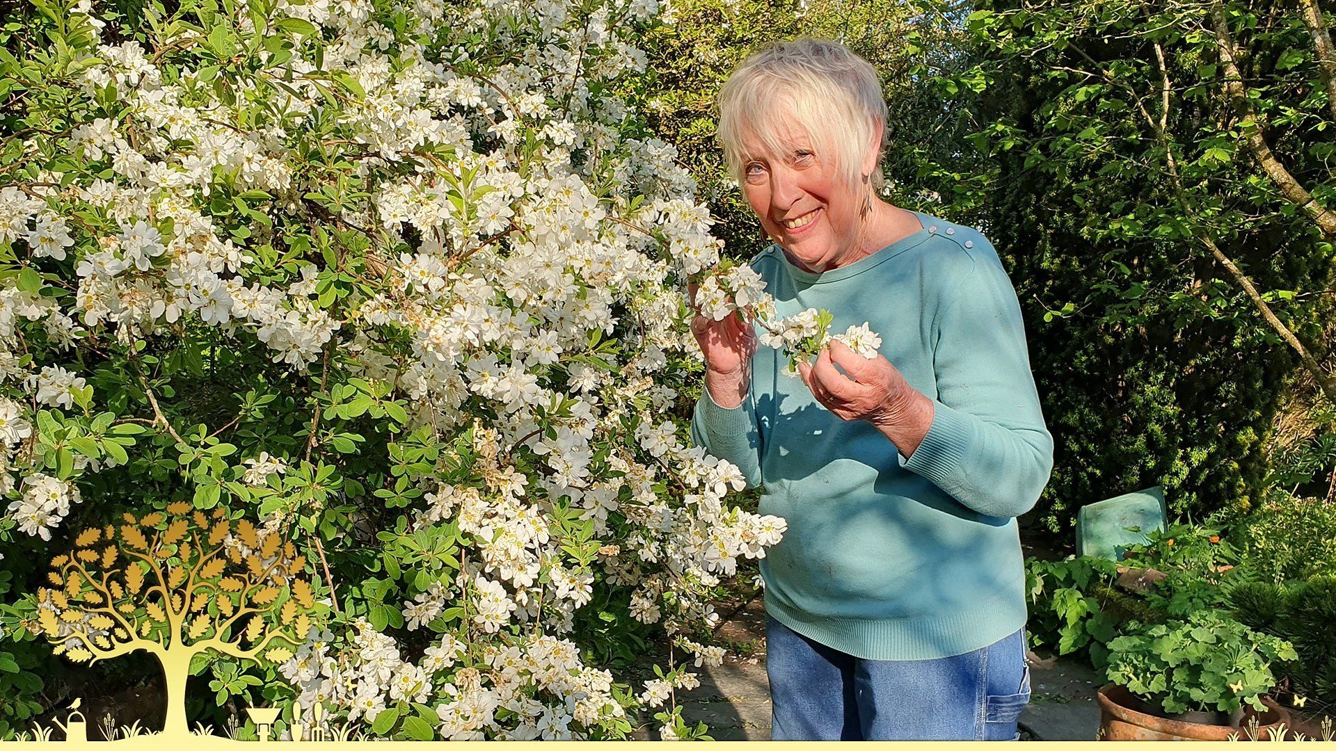 Gardeners' World background