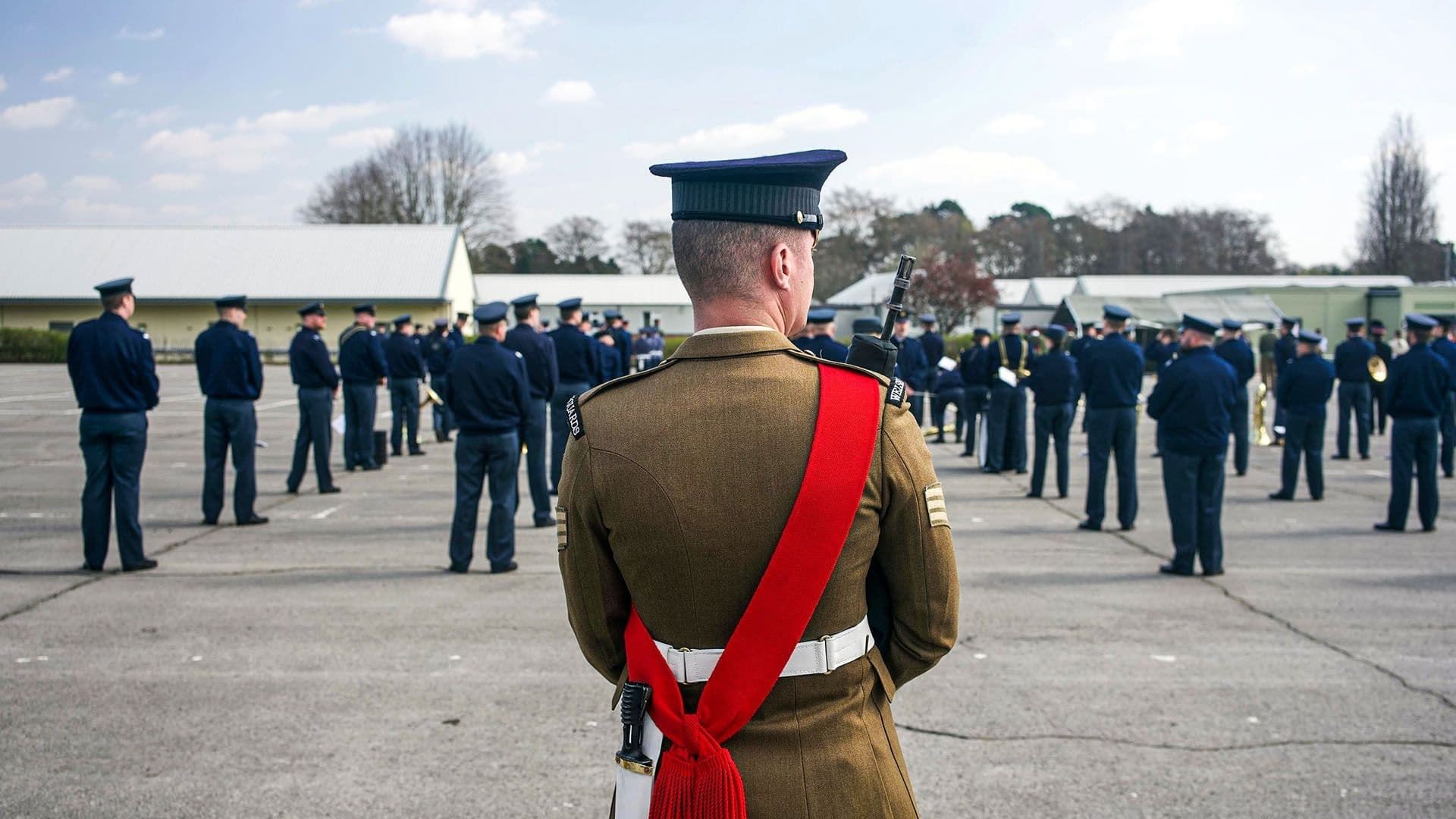 The Queen's Guards: A Year in Service background