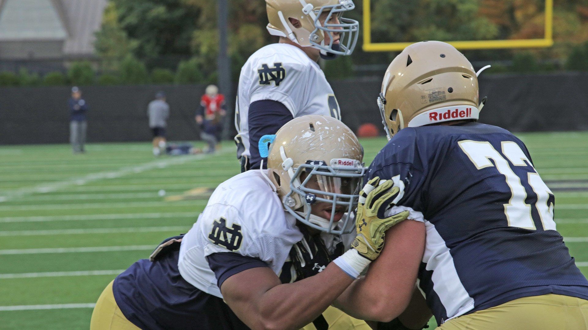 A Season with Notre Dame Football background