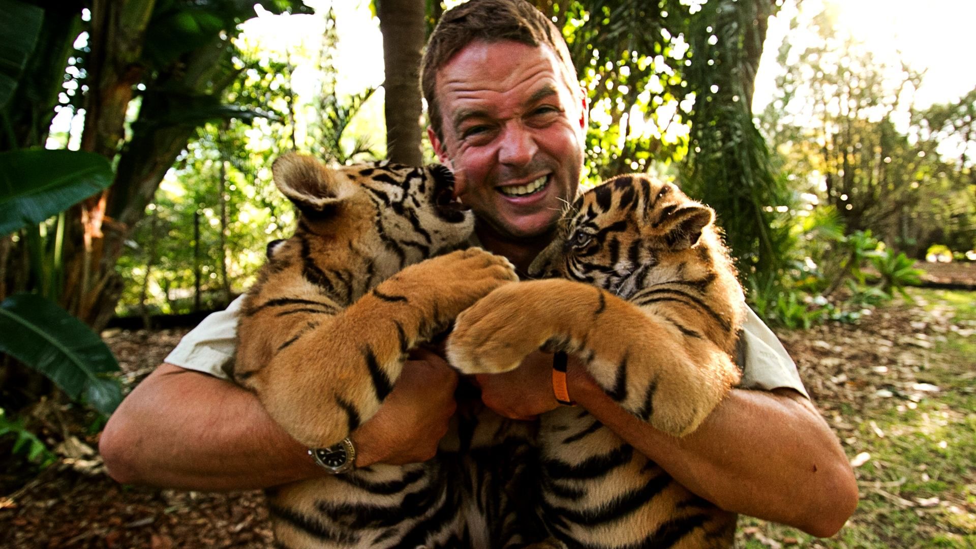 Tigers About the House background