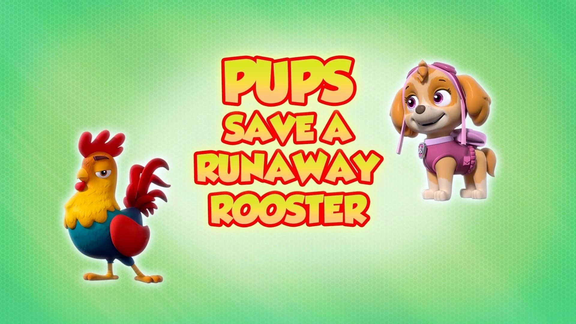 PAW Patrol background