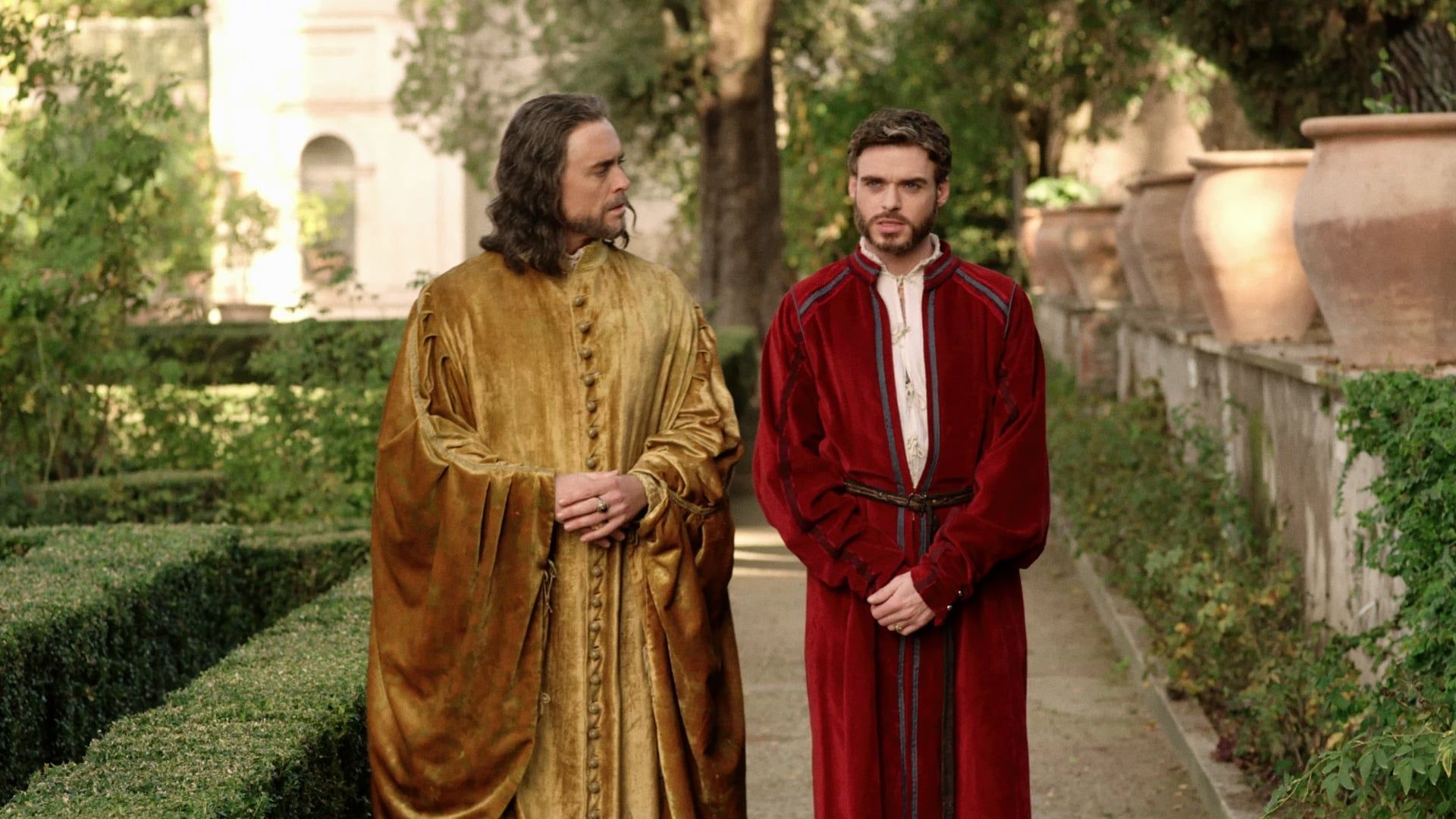 Medici background