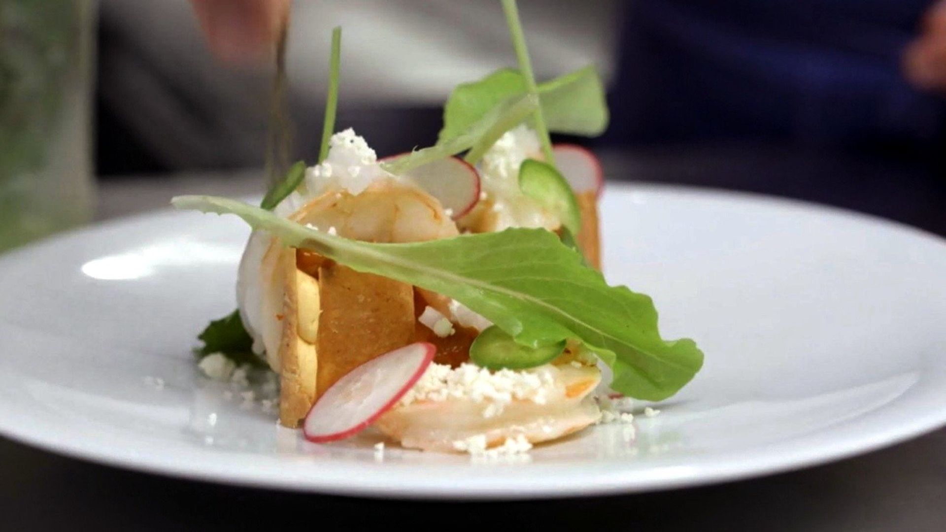 The Mind of a Chef background