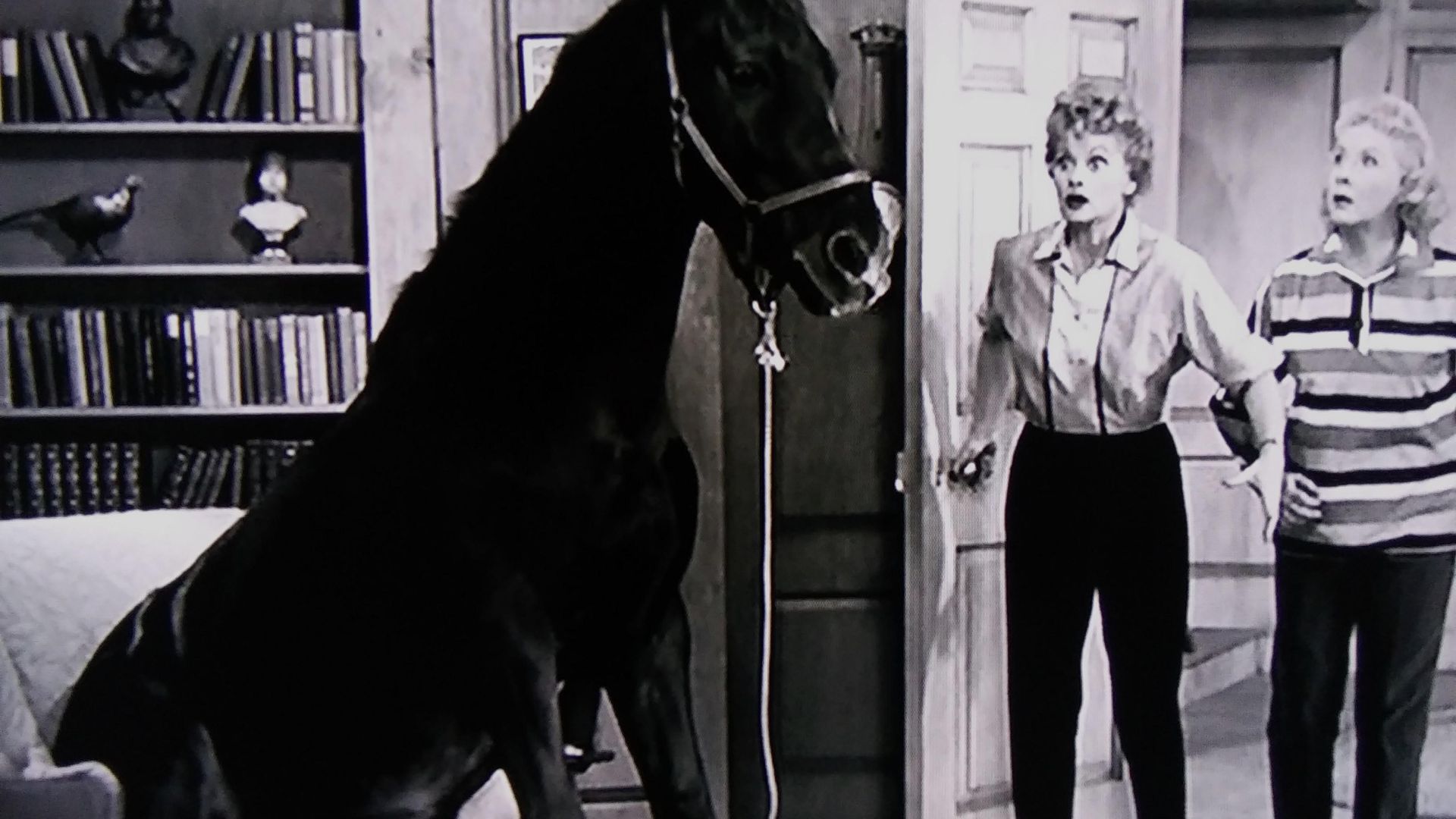 The Lucy-Desi Comedy Hour background