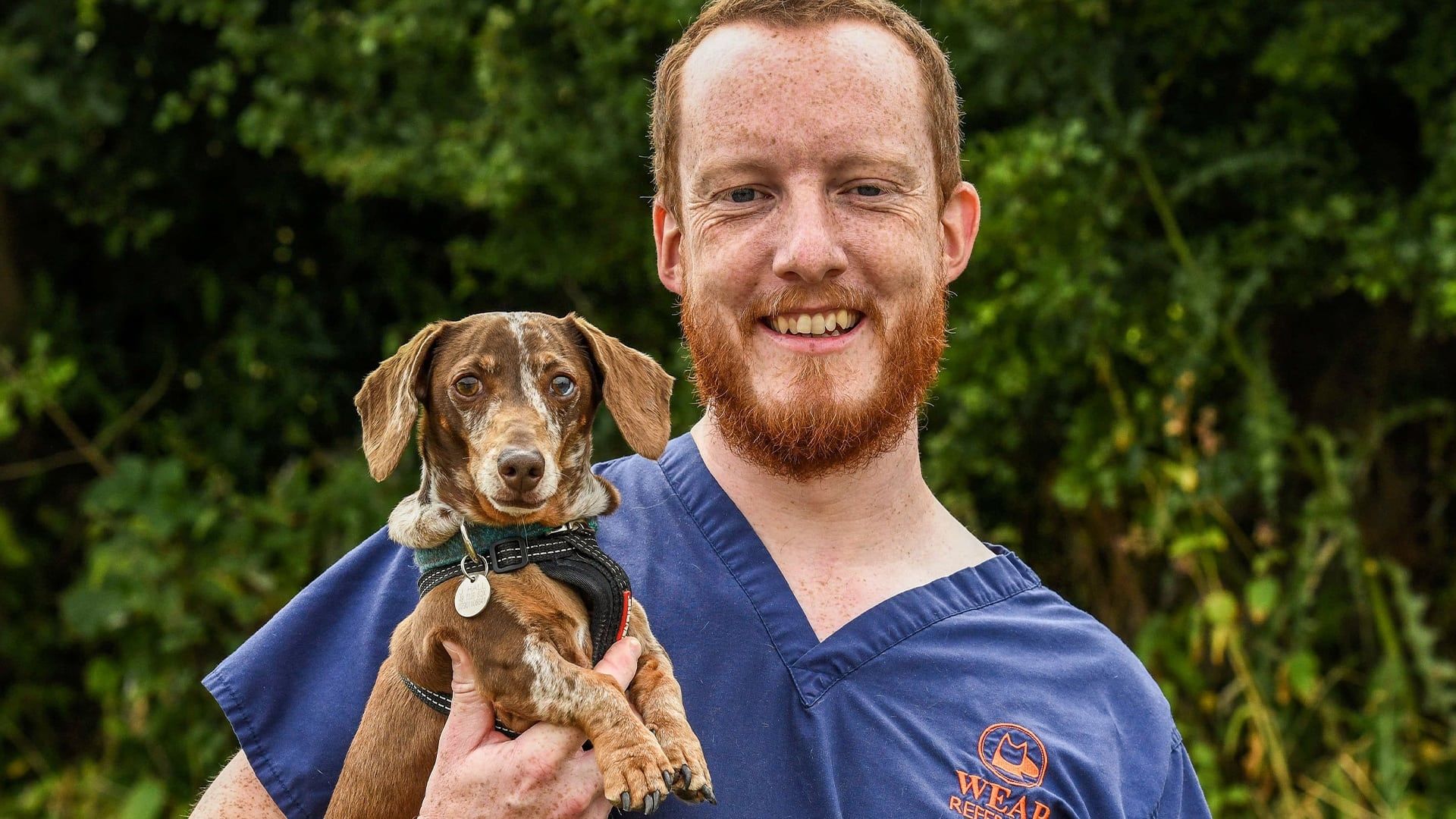 24/7 Pet Hospital background