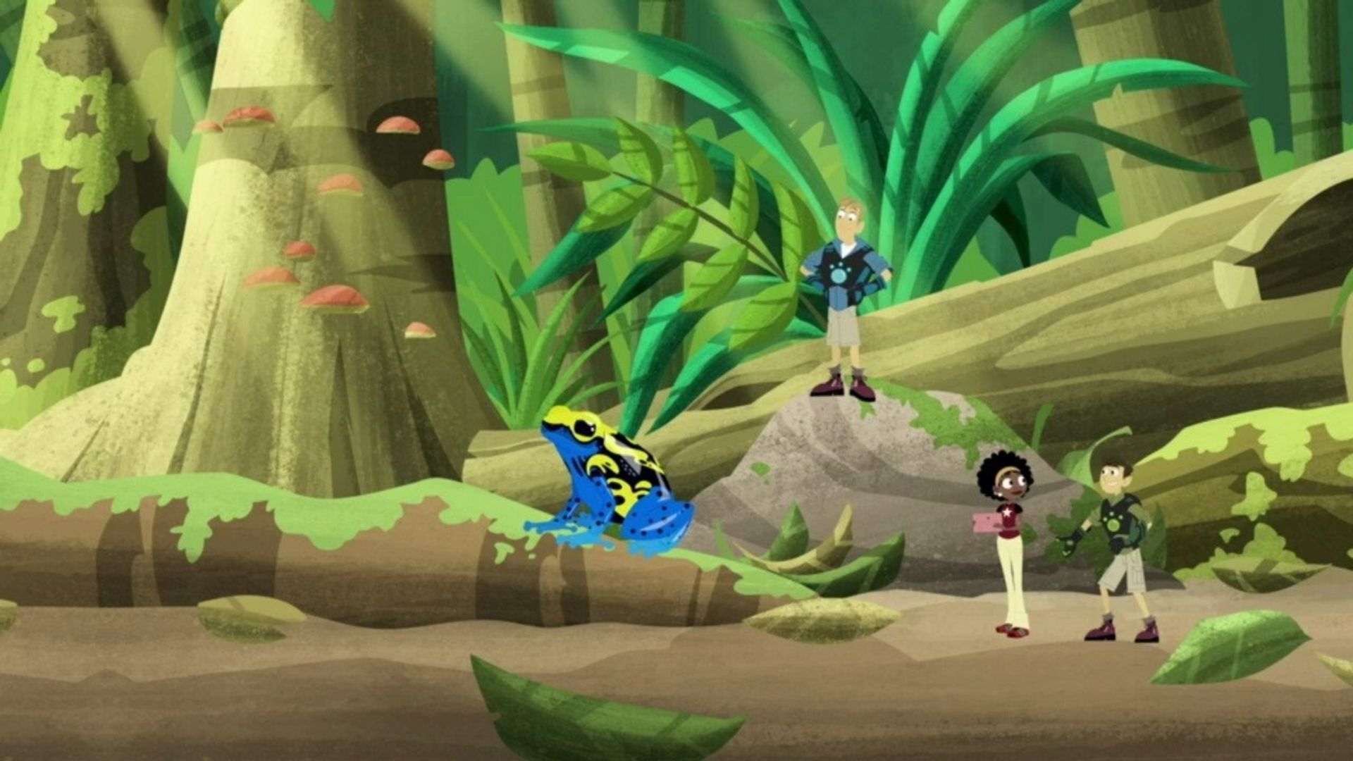 Wild Kratts background