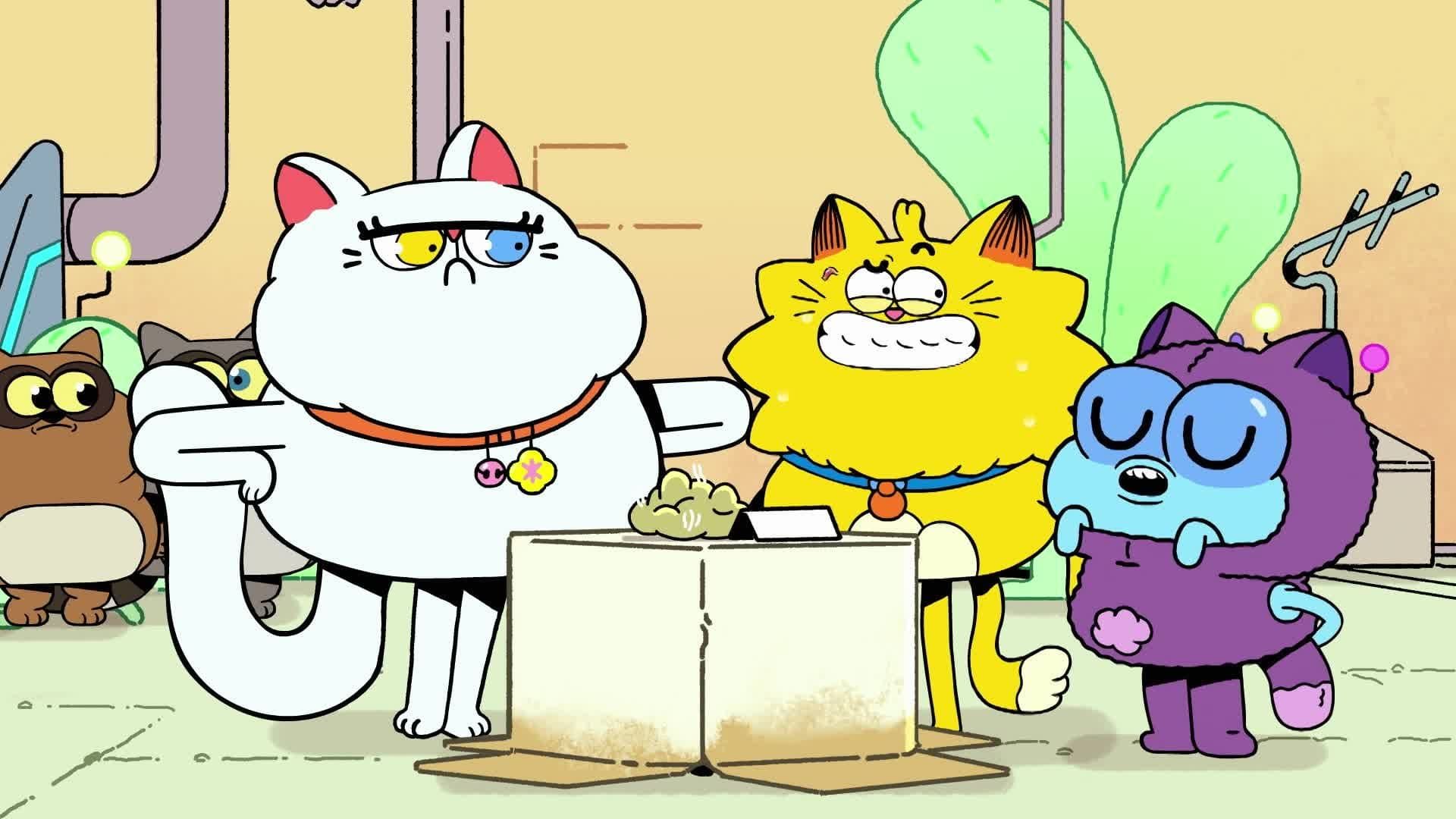 Counterfeit Cat background