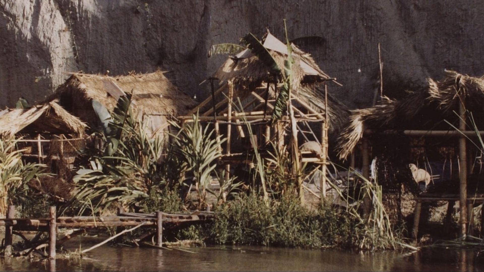 Cursed Films background