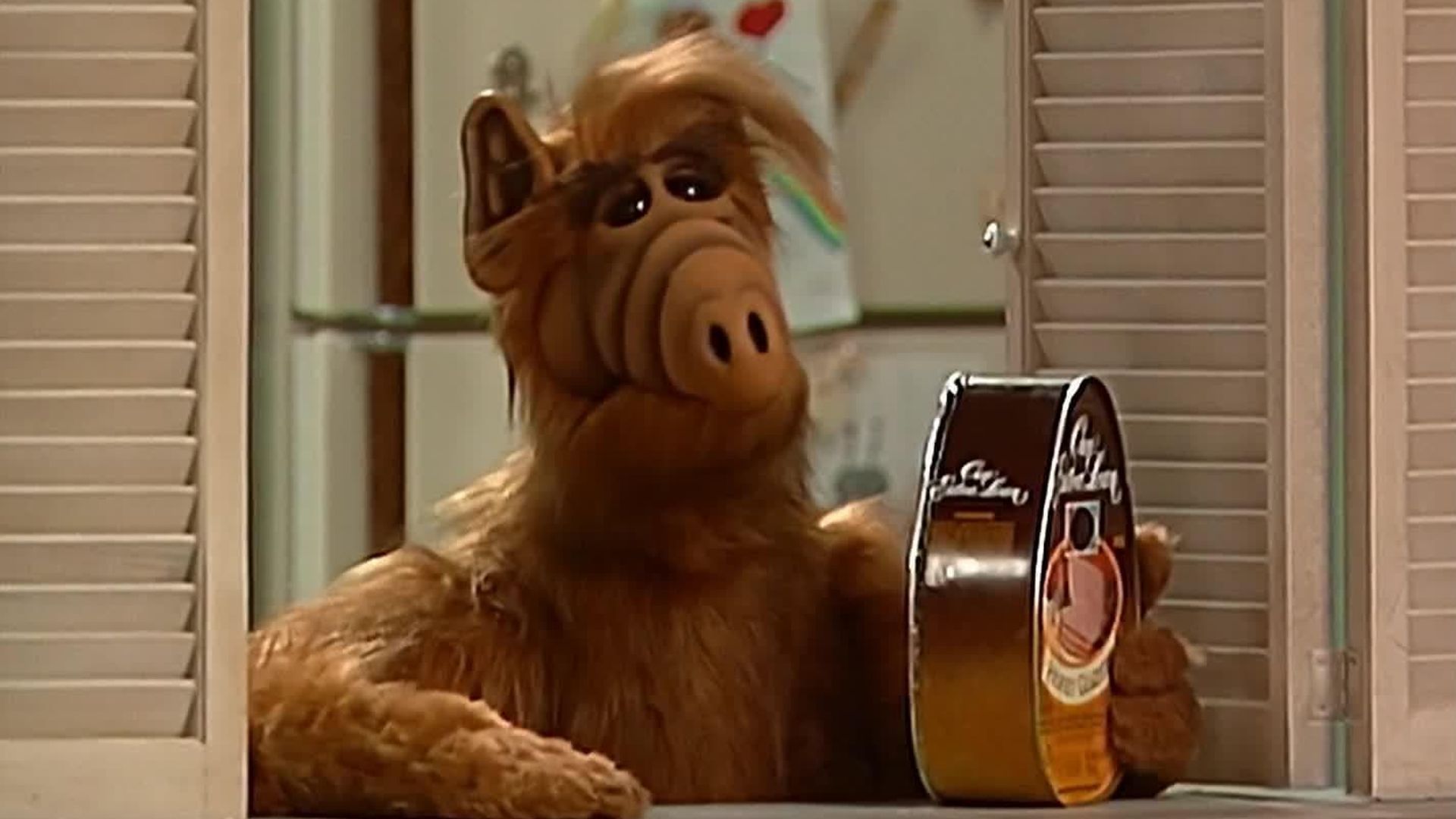 ALF background