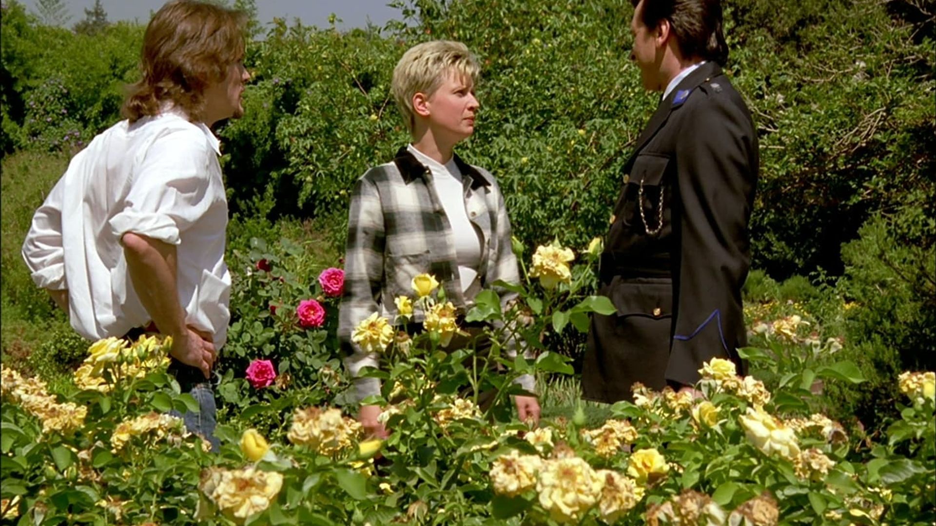 Murder, She Wrote background