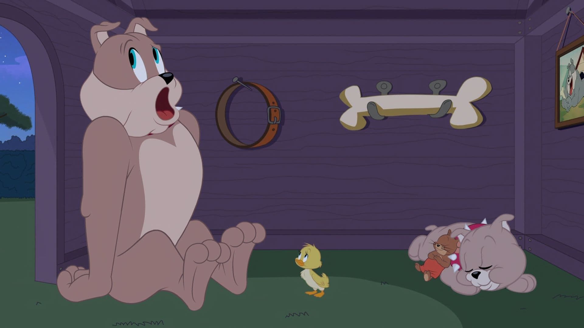 The Tom and Jerry Show background
