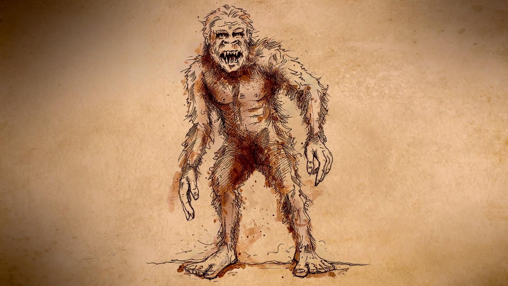 Lost Monster Files background