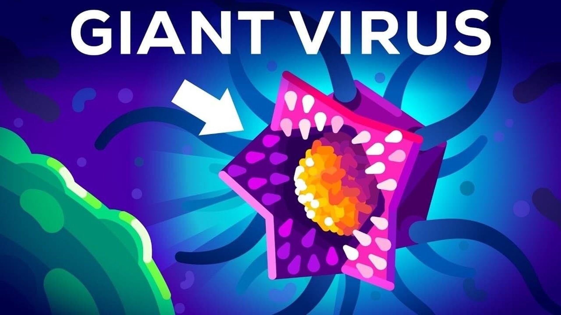 Kurzgesagt: In a Nutshell background