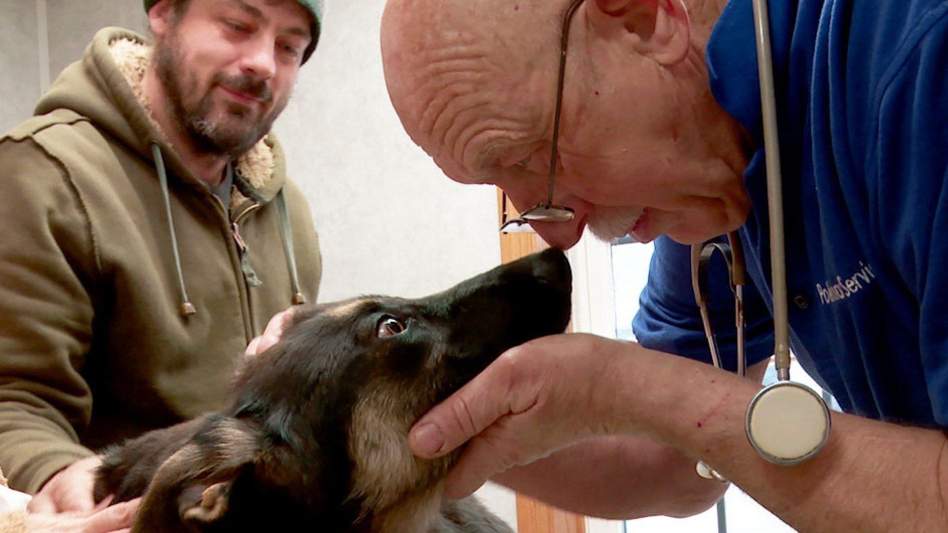 The Incredible Dr. Pol background