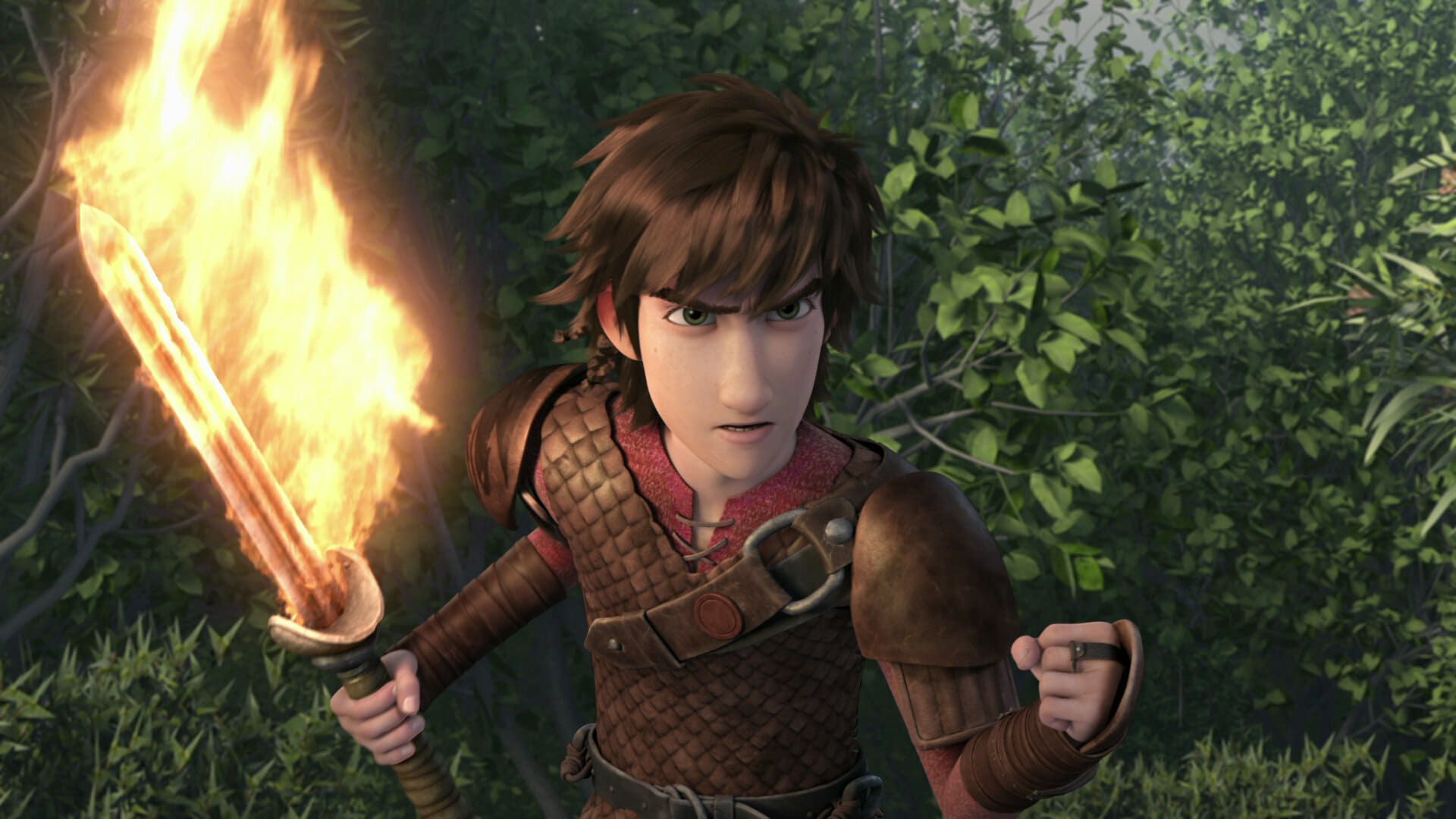 Dragons: Race to the Edge background