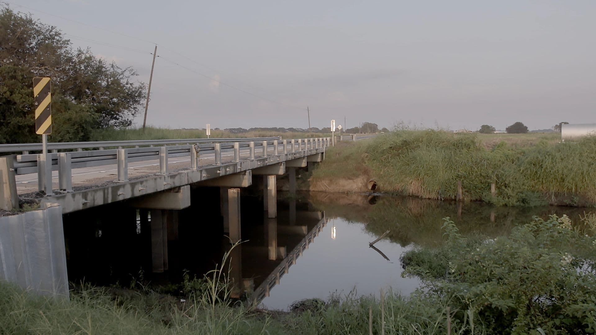 Murder in the Bayou background