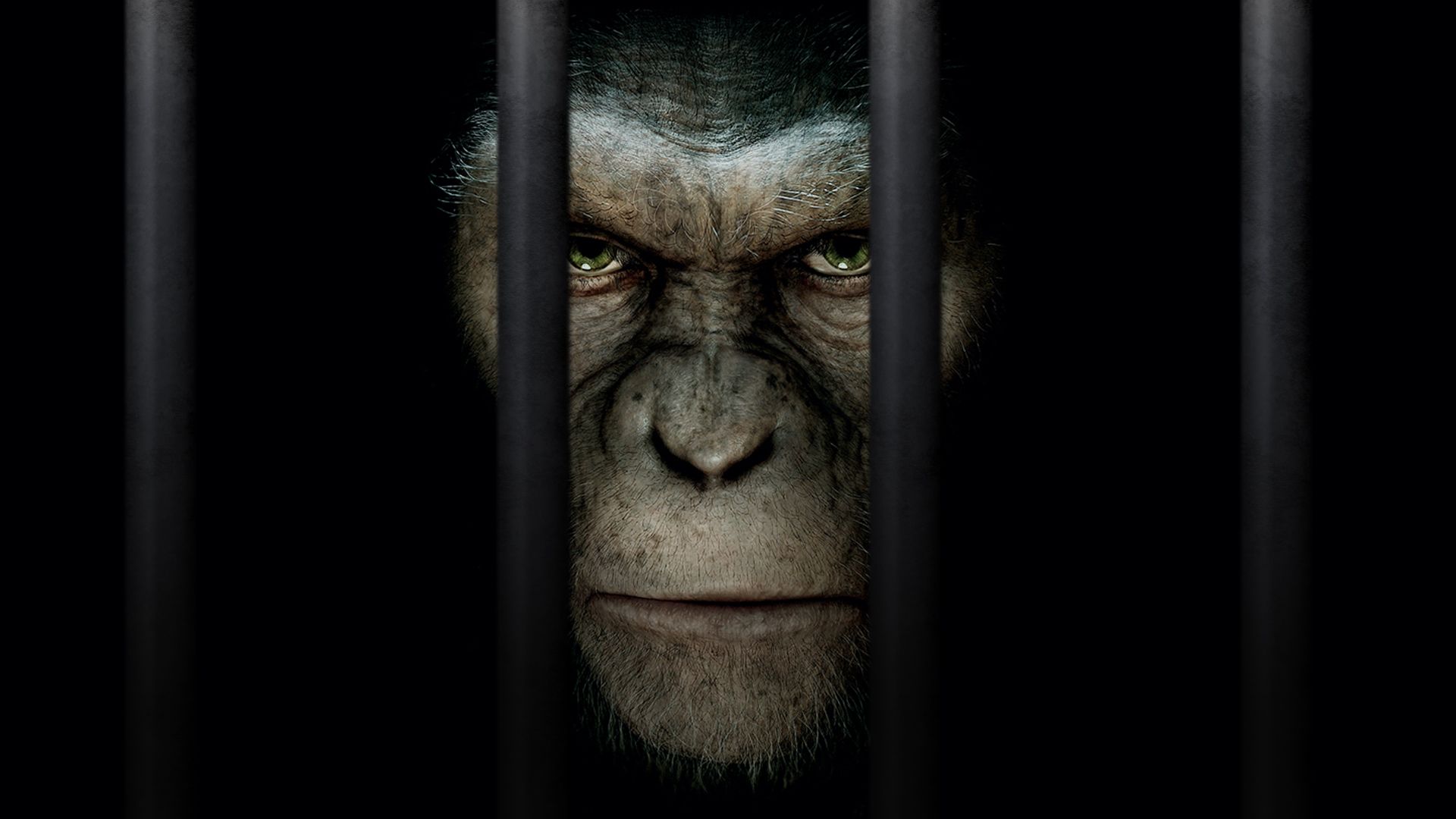 Planet of the Apes (Reboot) background