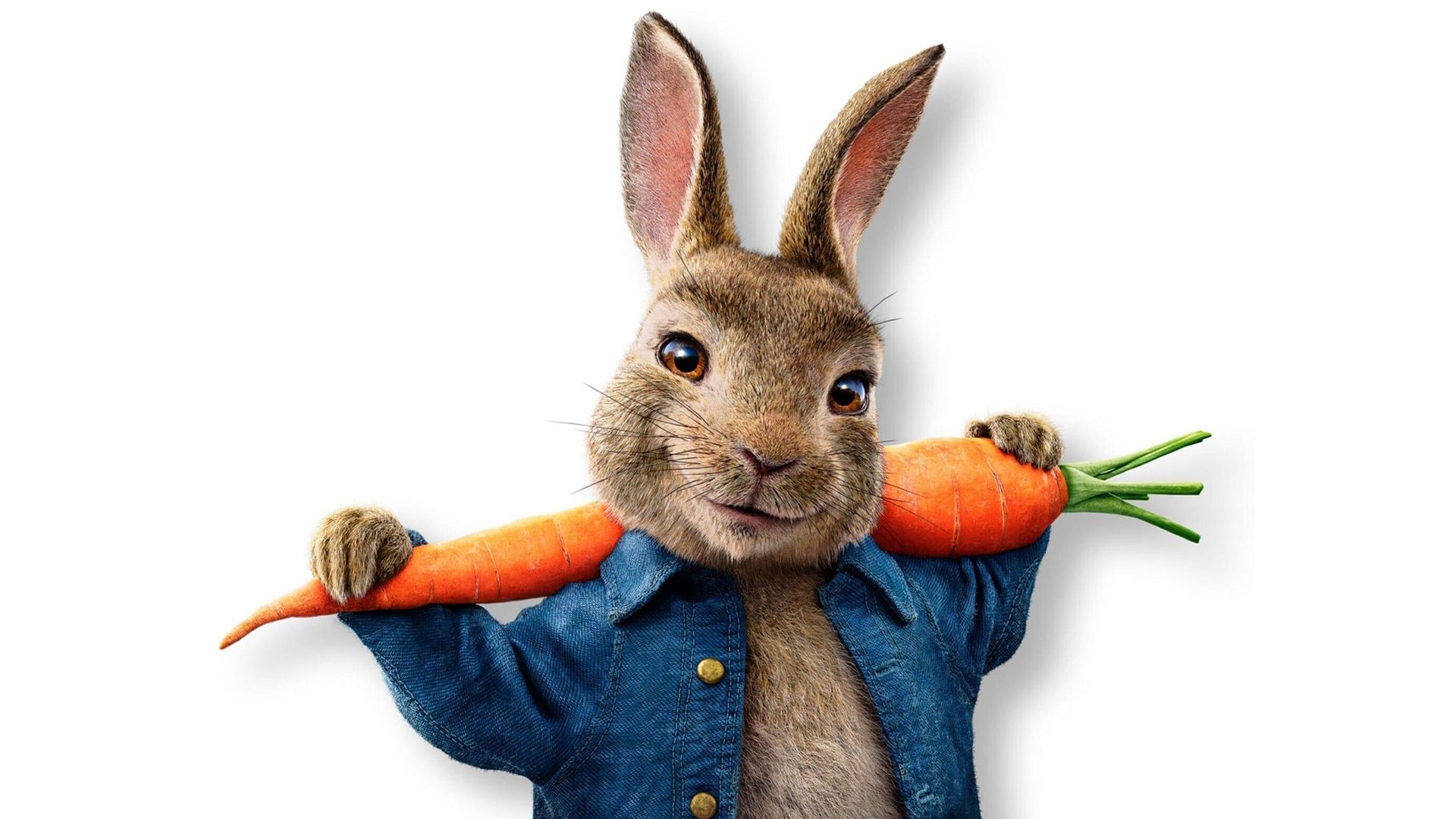 Peter Rabbit background