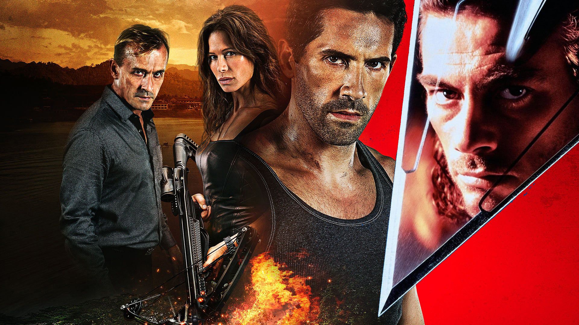 Hard Target background