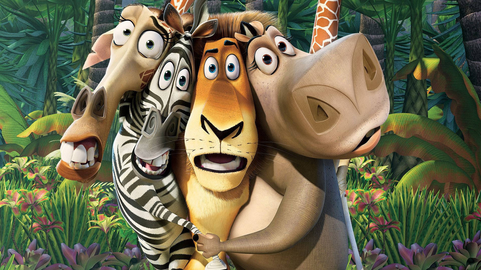Madagascar background