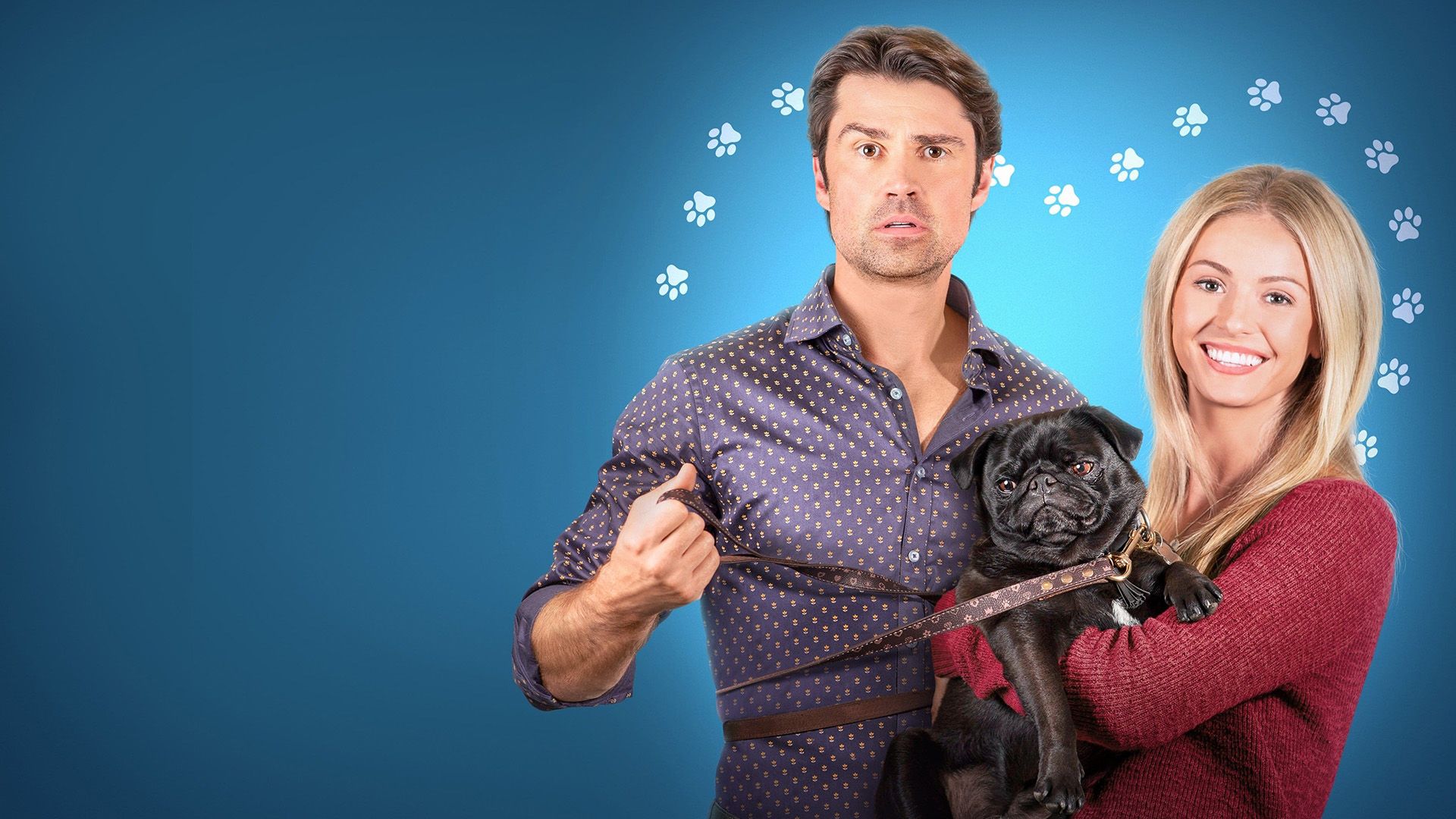 The Dog Lover's Guide to Dating background