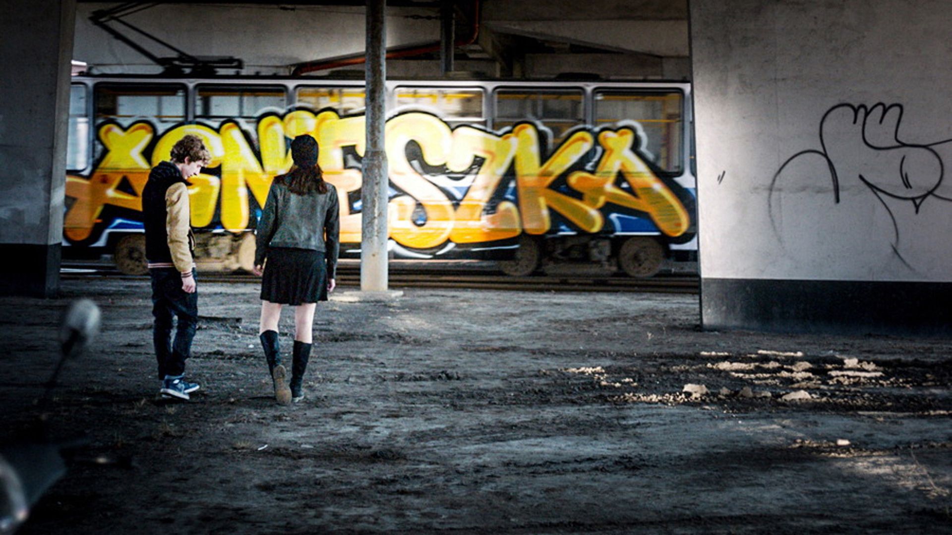 Agnieszka background