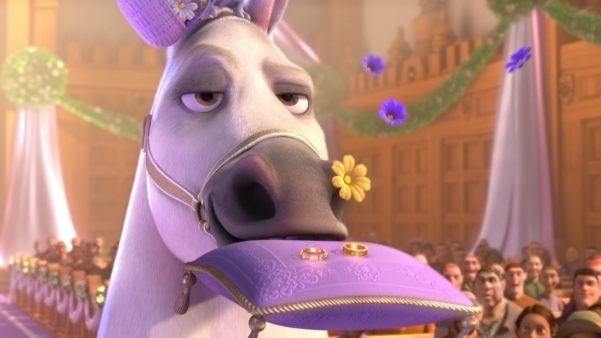 Tangled Ever After background