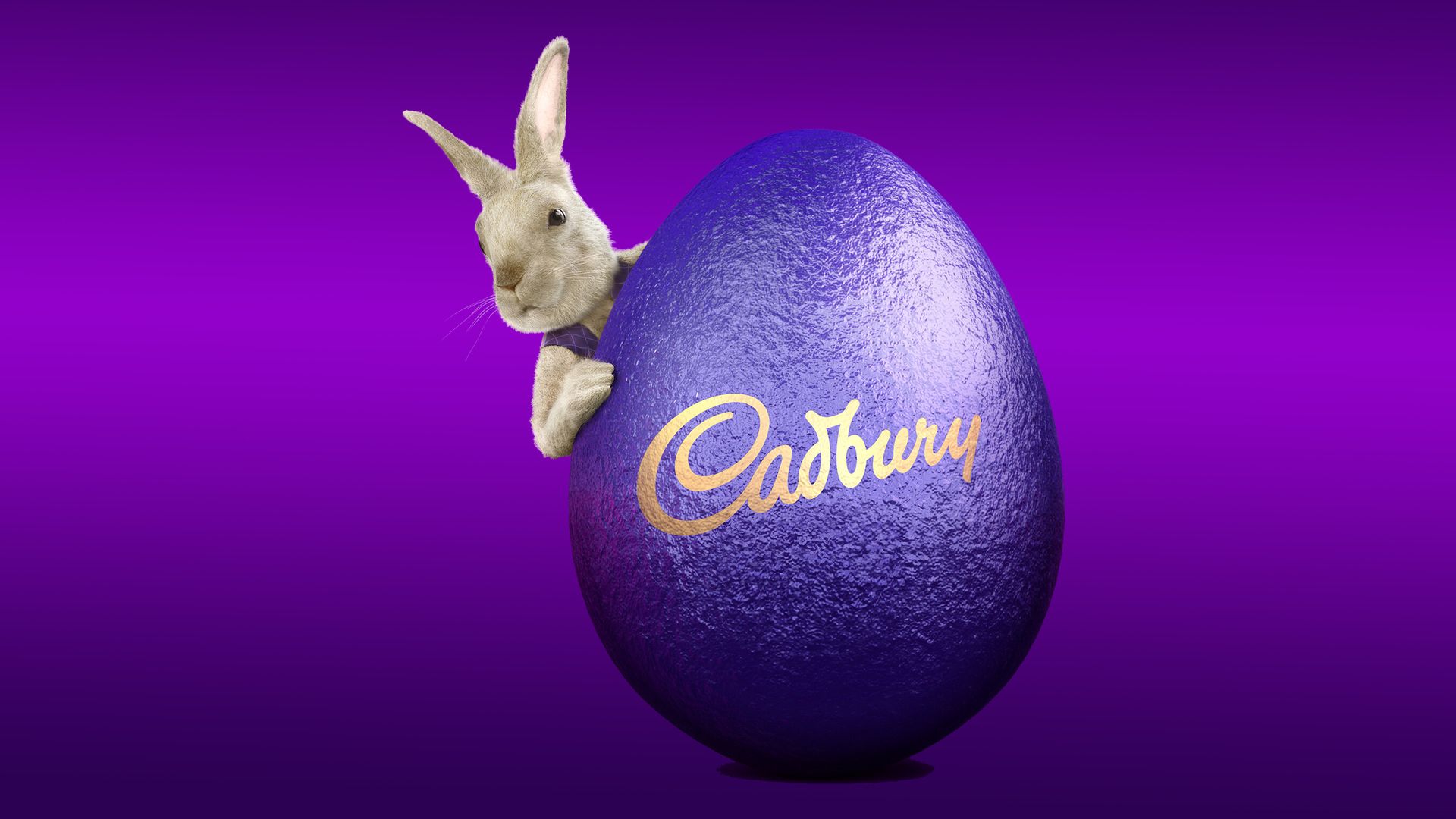 The Chocolate Factory: Inside Cadbury Australia background