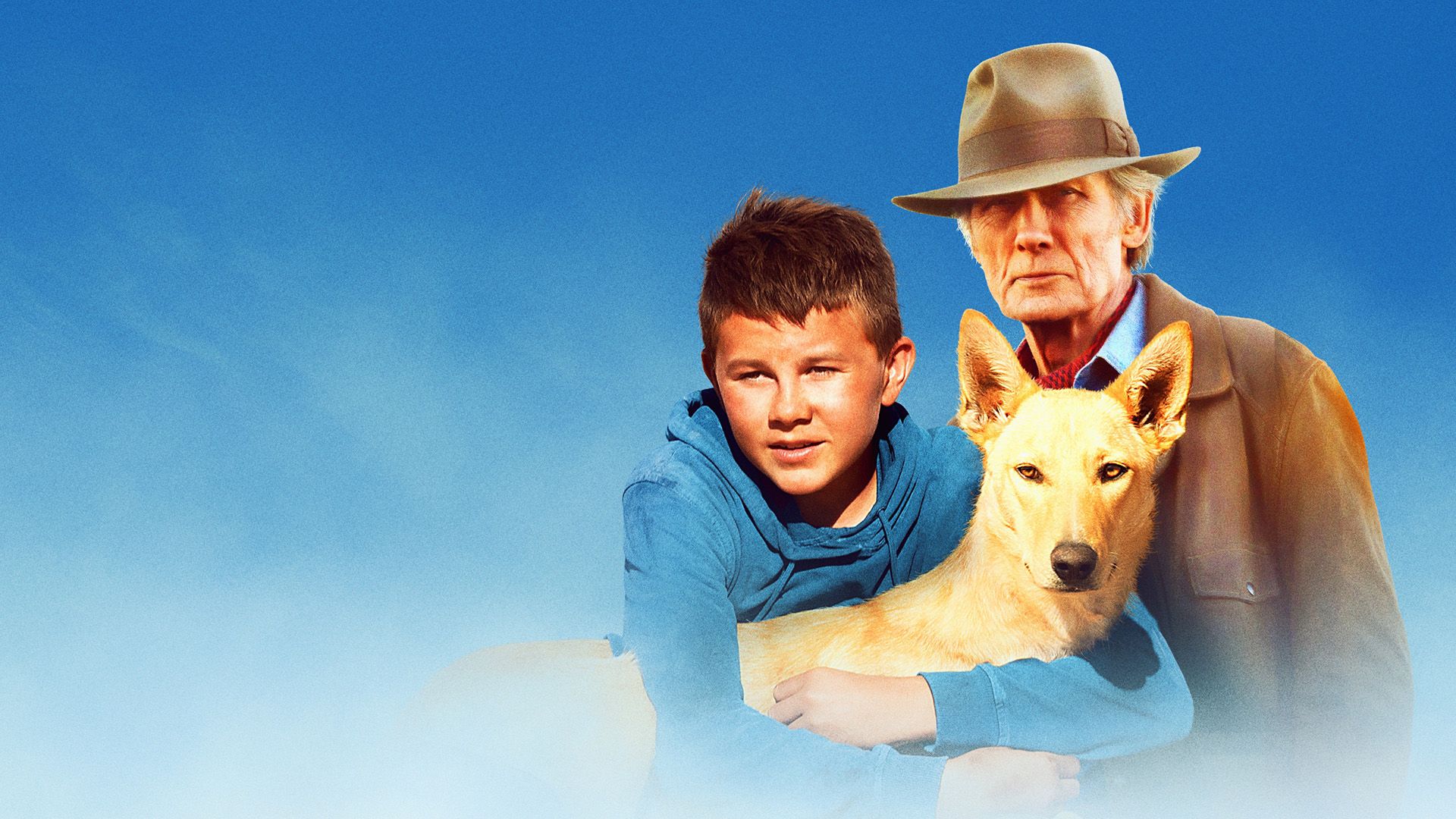 Buckley's Chance background