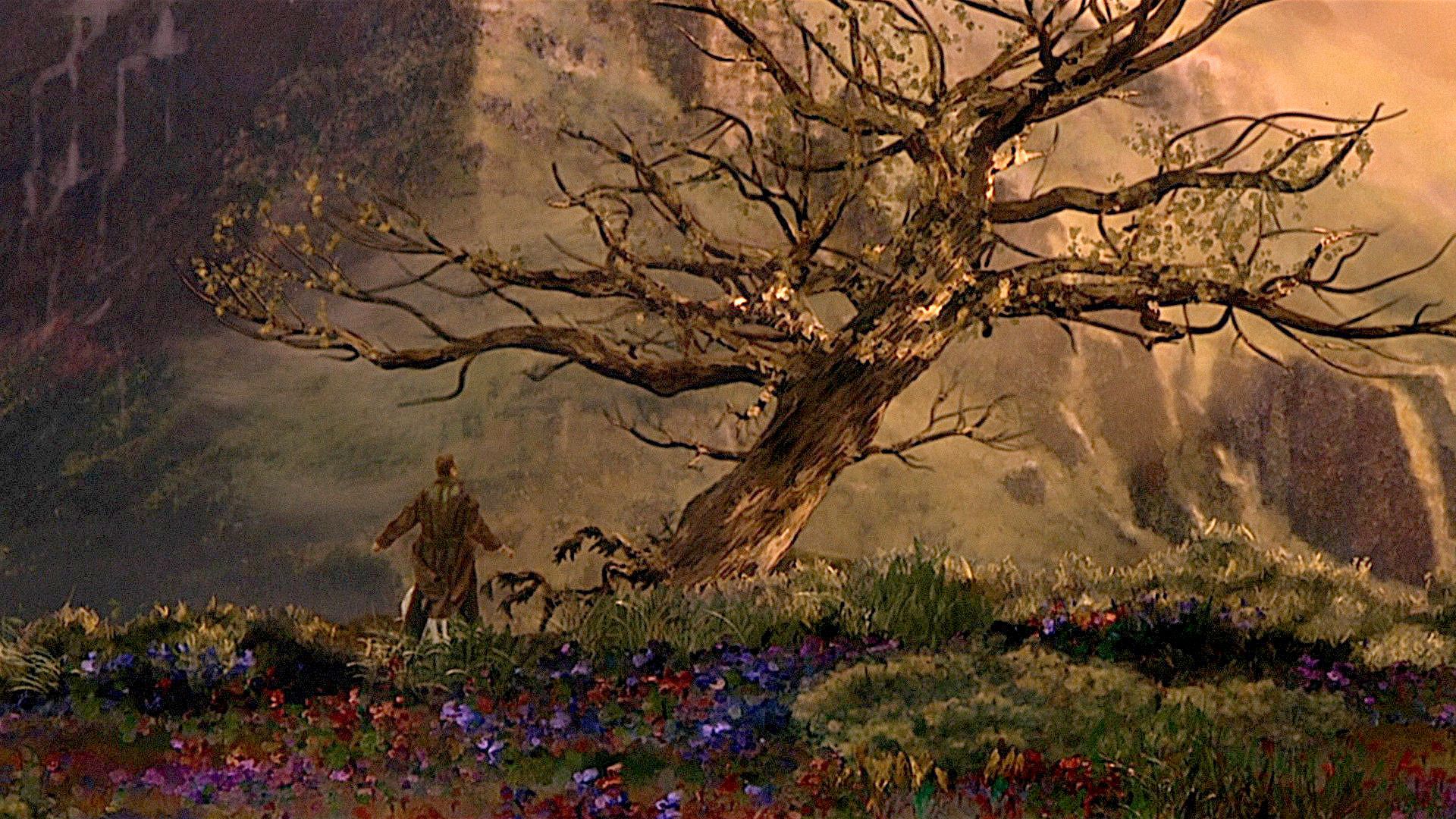 What Dreams May Come background