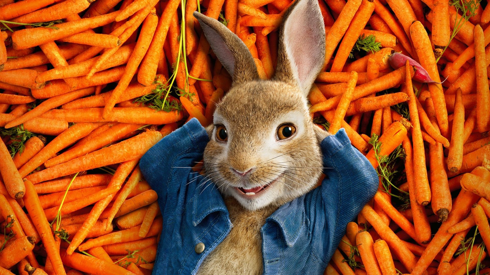 Peter Rabbit background