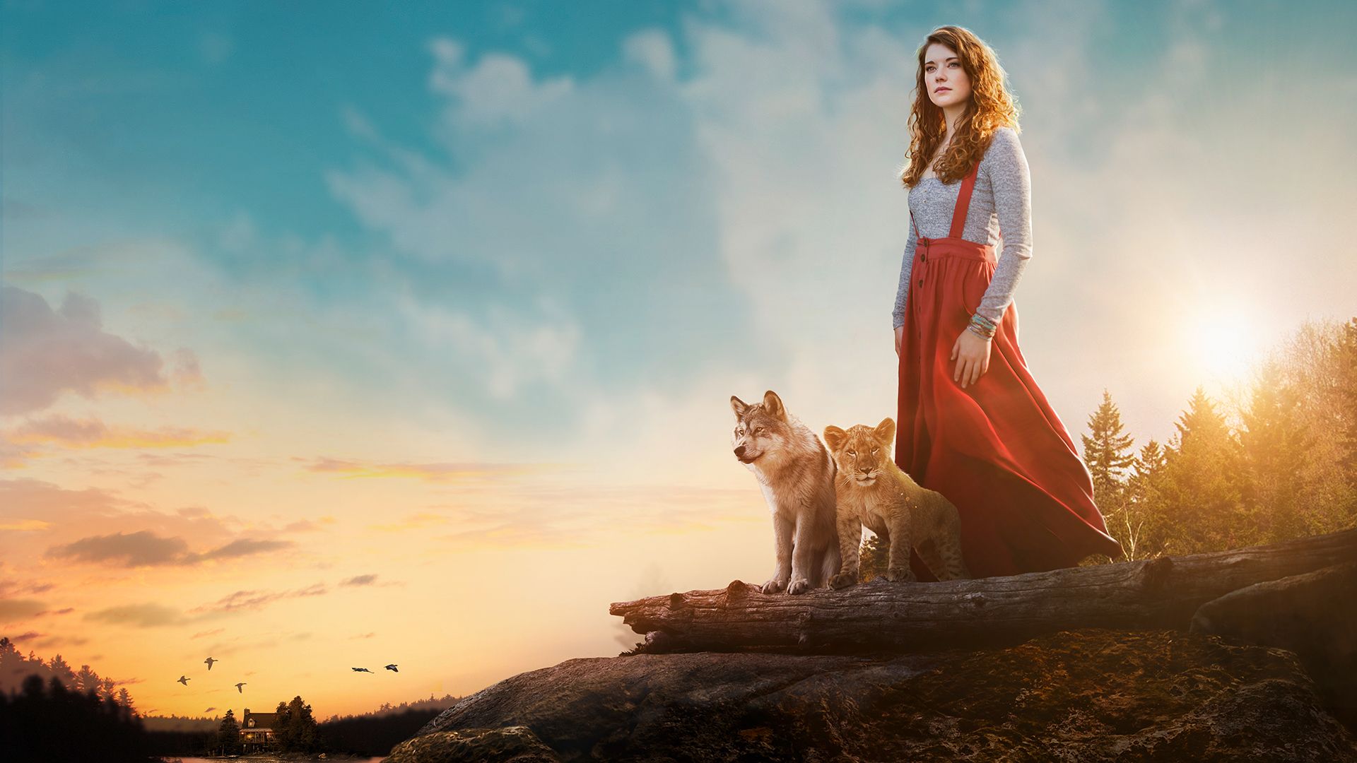 The Wolf and the Lion background