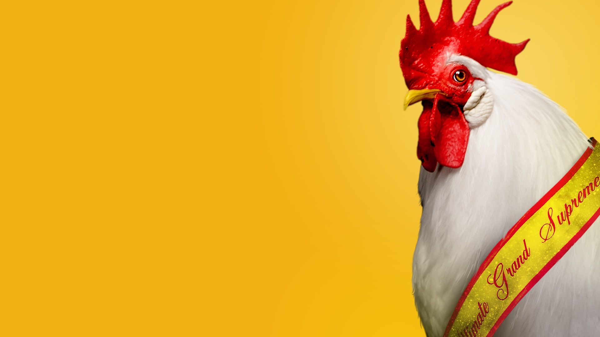 Chicken People background