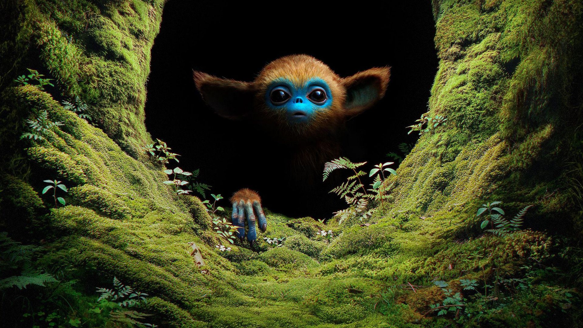 The Legend of Ochi background