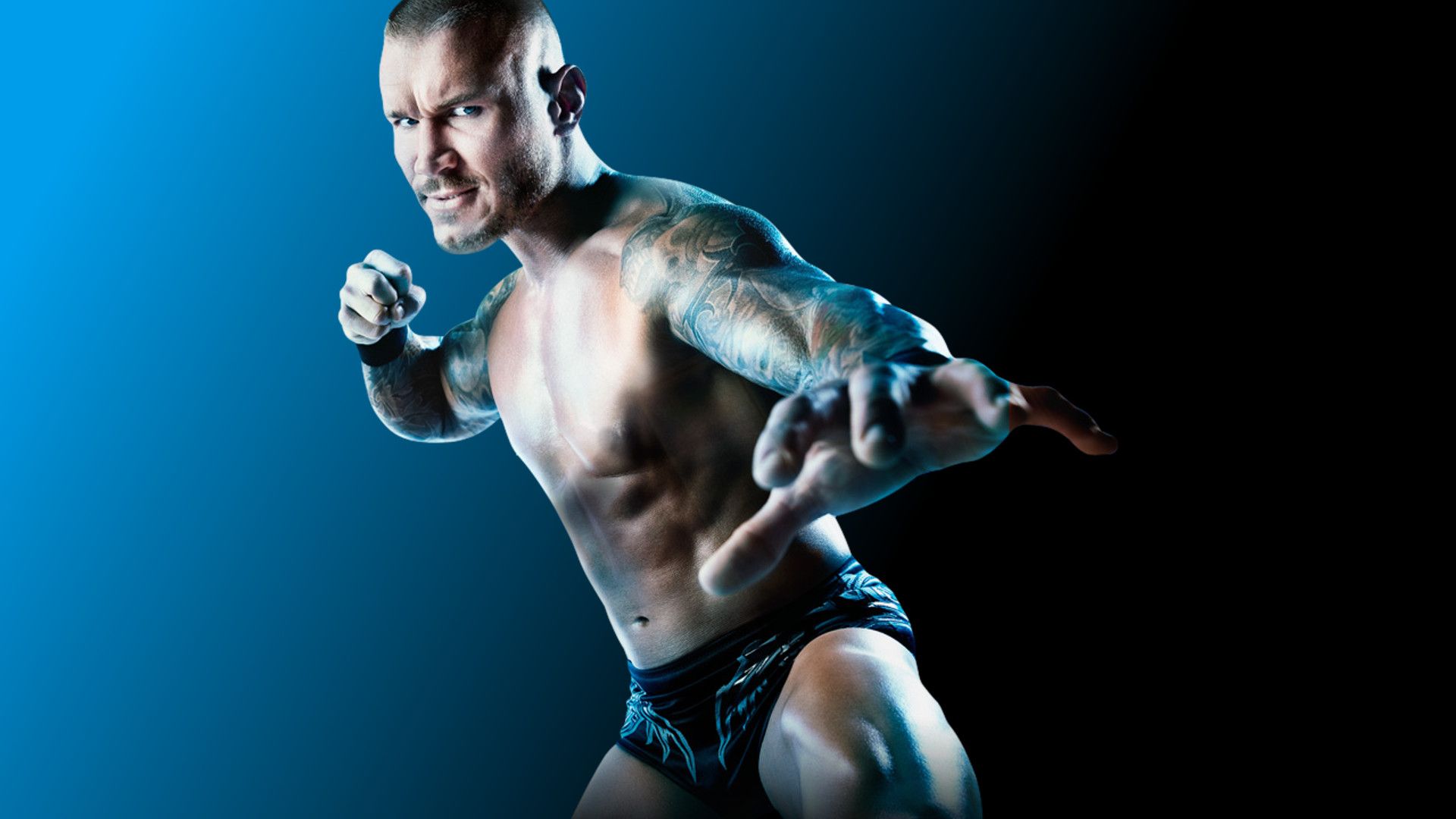 WWE Over the Limit background