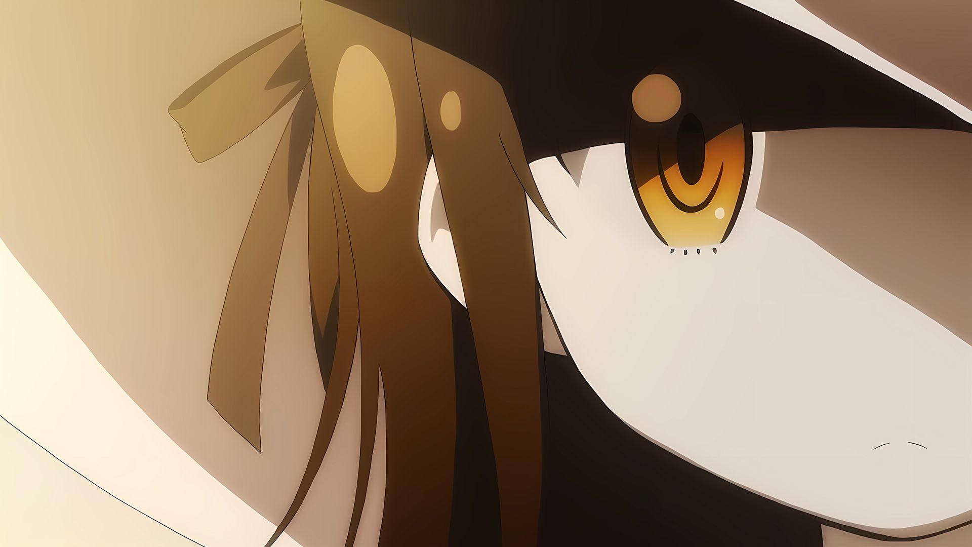Laidbackers background