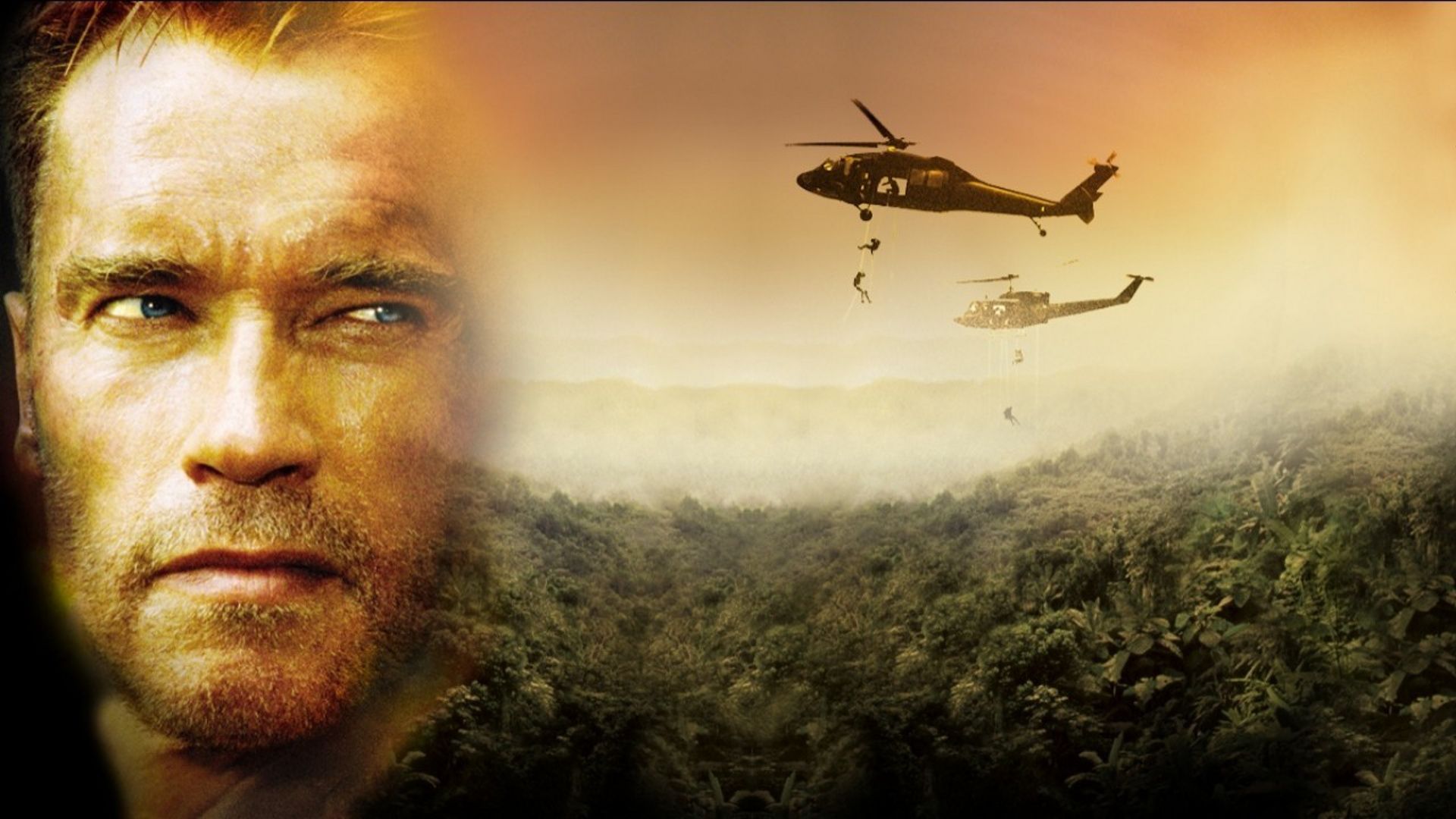 Collateral Damage background