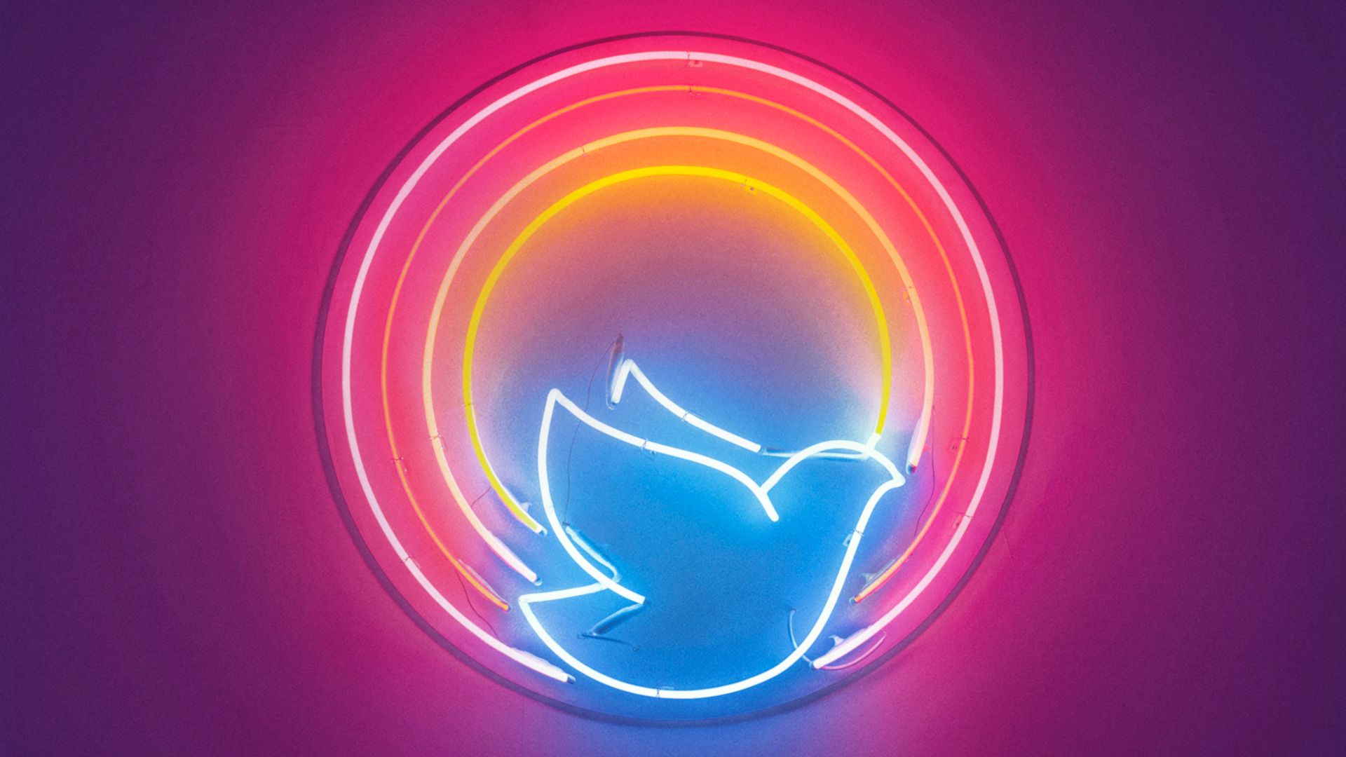 Divine Love background