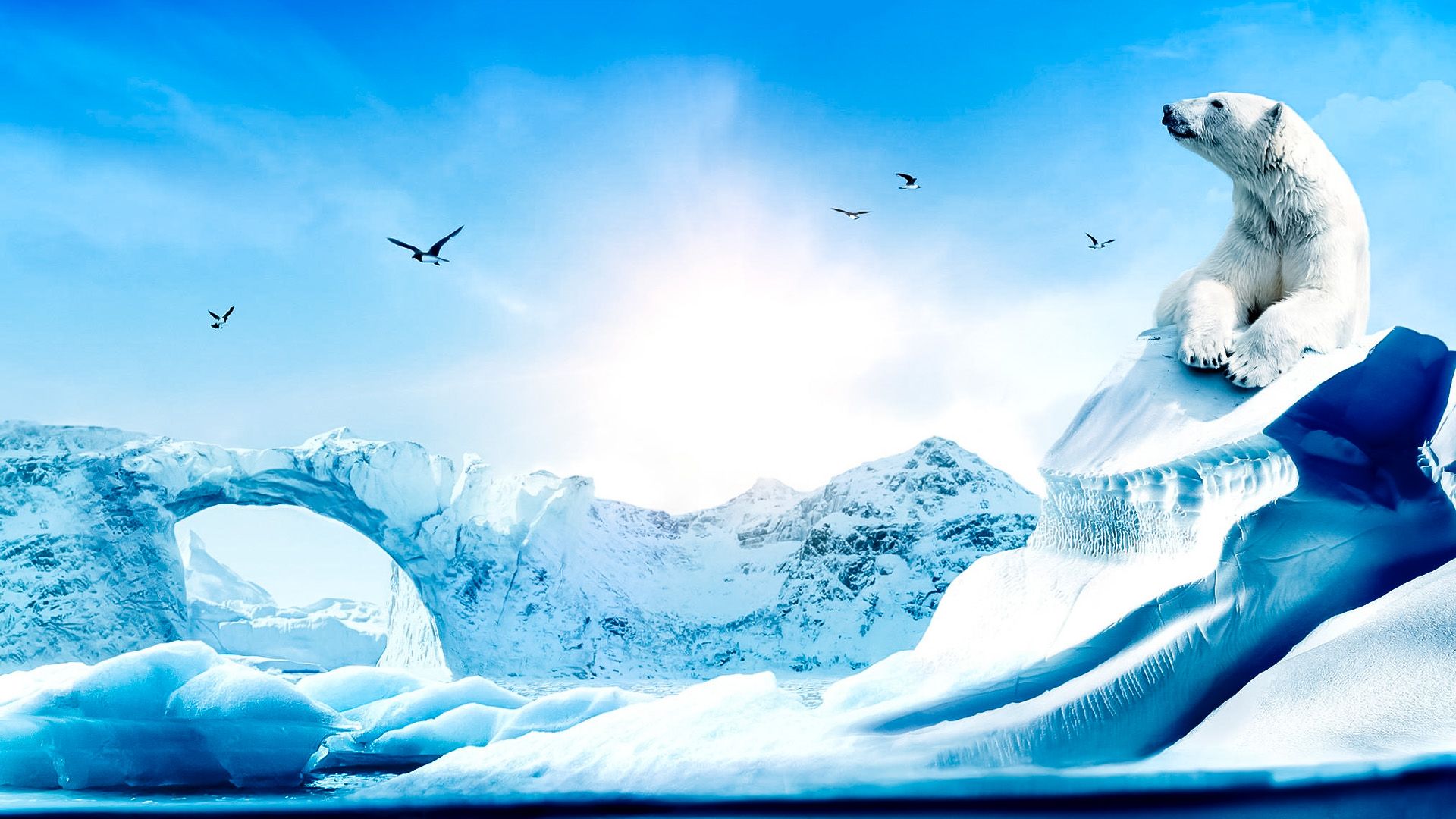 Wonders of the Arctic 3D background