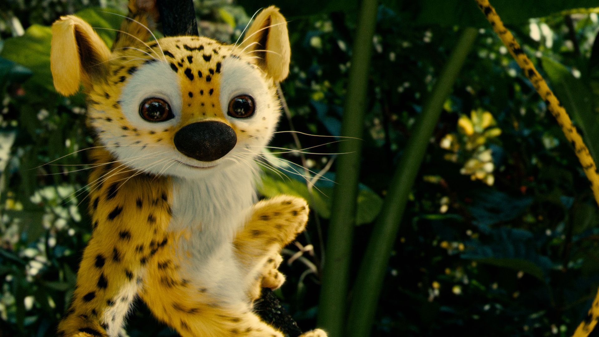 HOUBA! On the Trail of the Marsupilami background