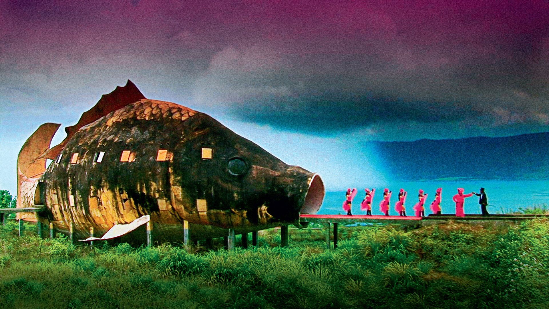 The Act of Killing background
